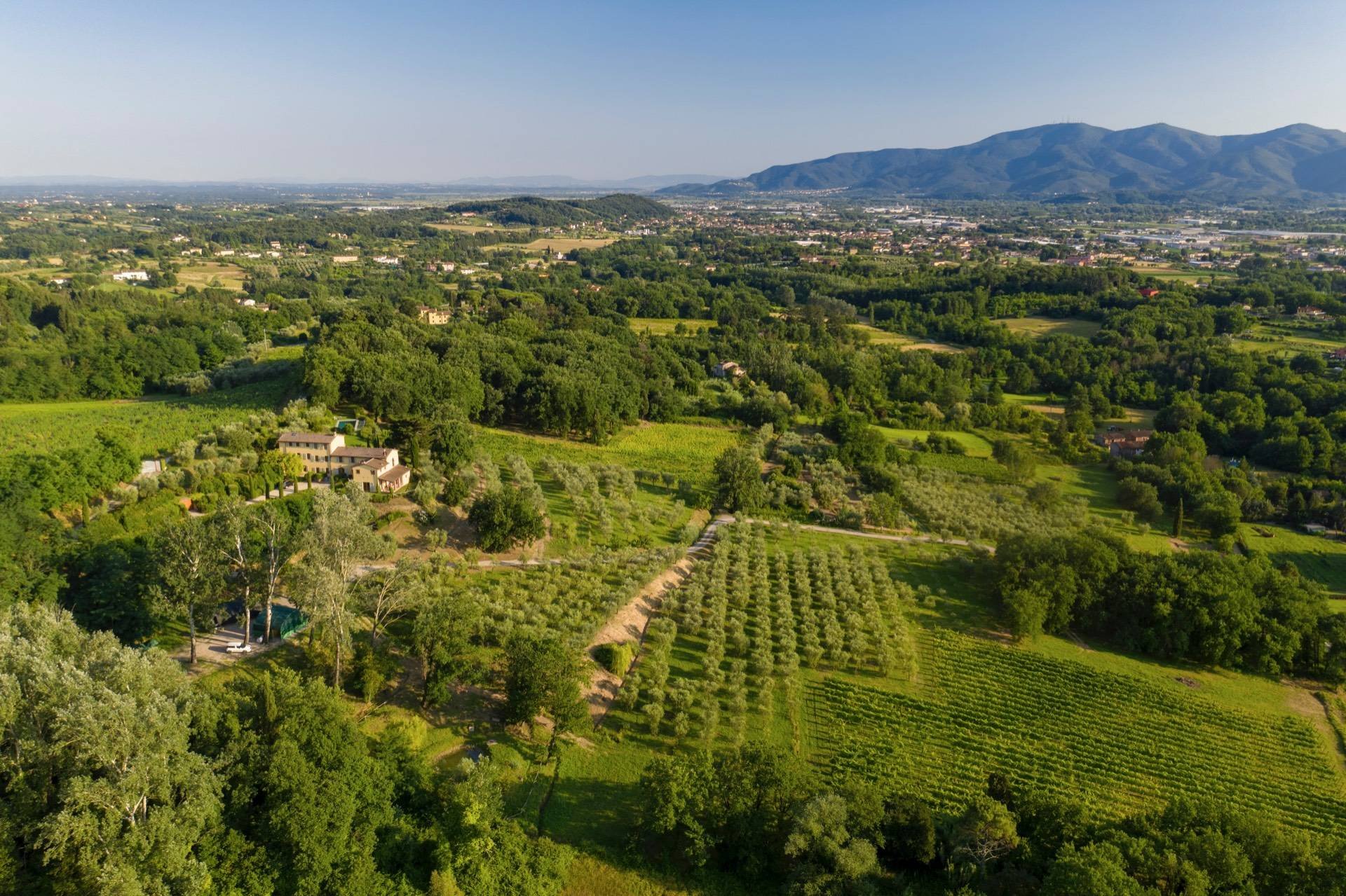 Francis York  Turnkey Italian Villa With Vineyards and Olive Groves Near Lucca 00003.jpg