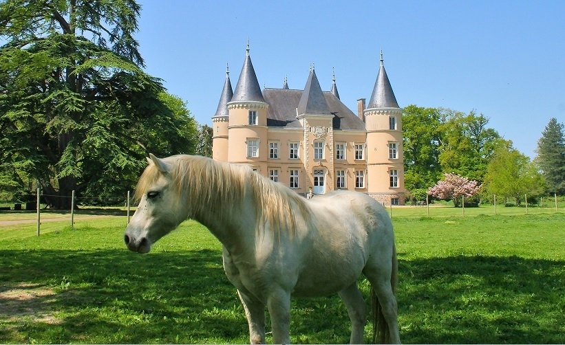 18th century chateau with land, tucked away in the Northern Loire, 2 hours from Paris