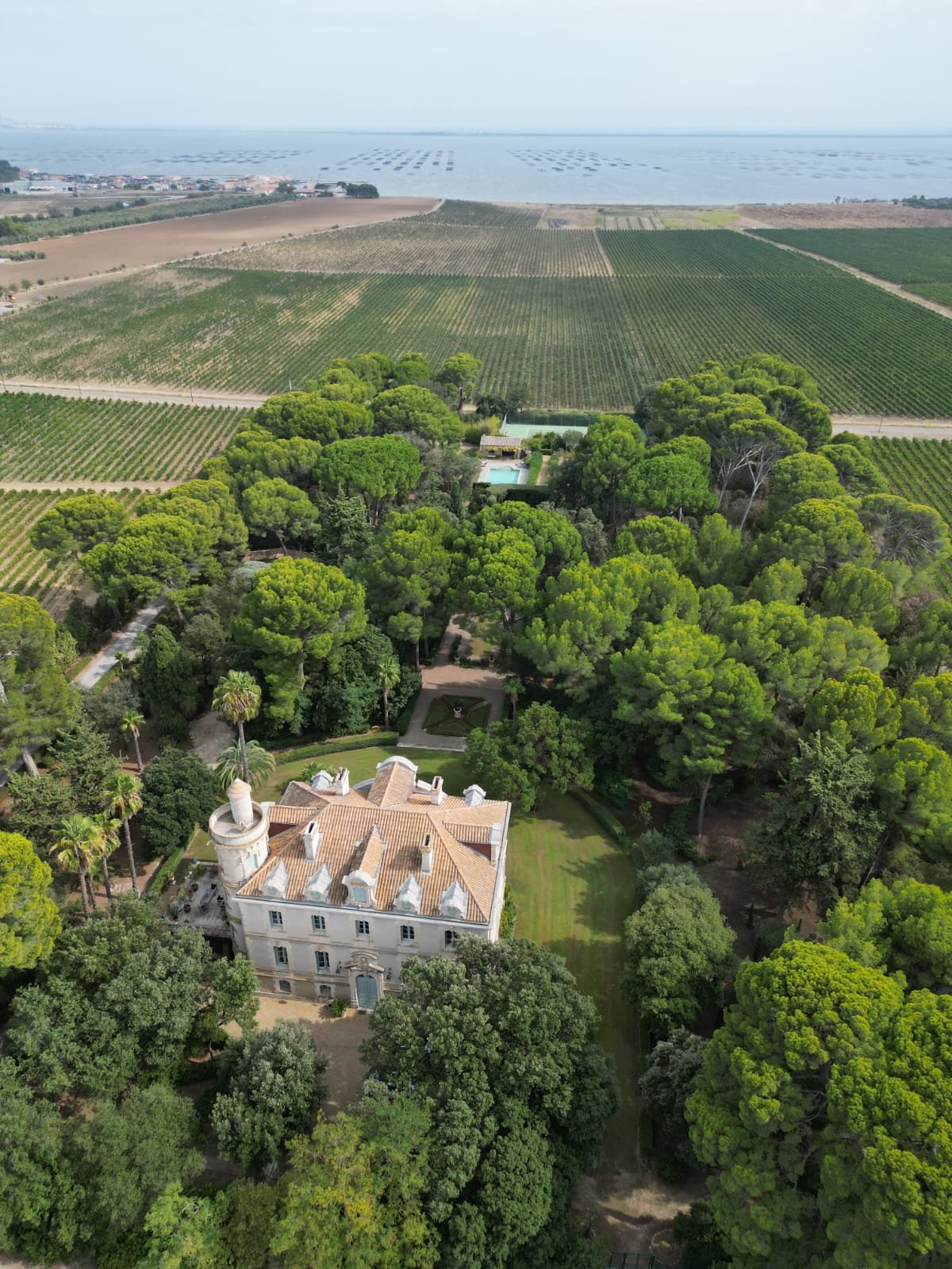 Francis York 19th Century Chateau in the South of France Near Monpellier  00004.JPG