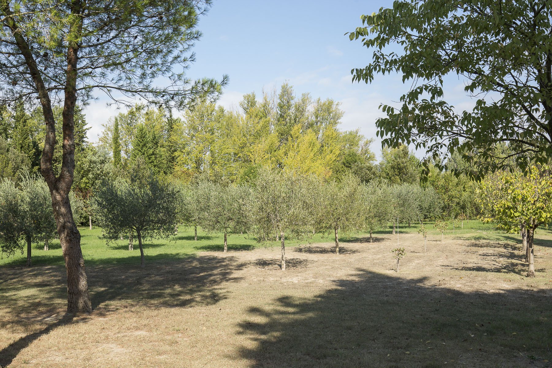 Francis York Dream 18th Century French Farmhouse in Saint-Rémy-de-Provence 00030.jpg