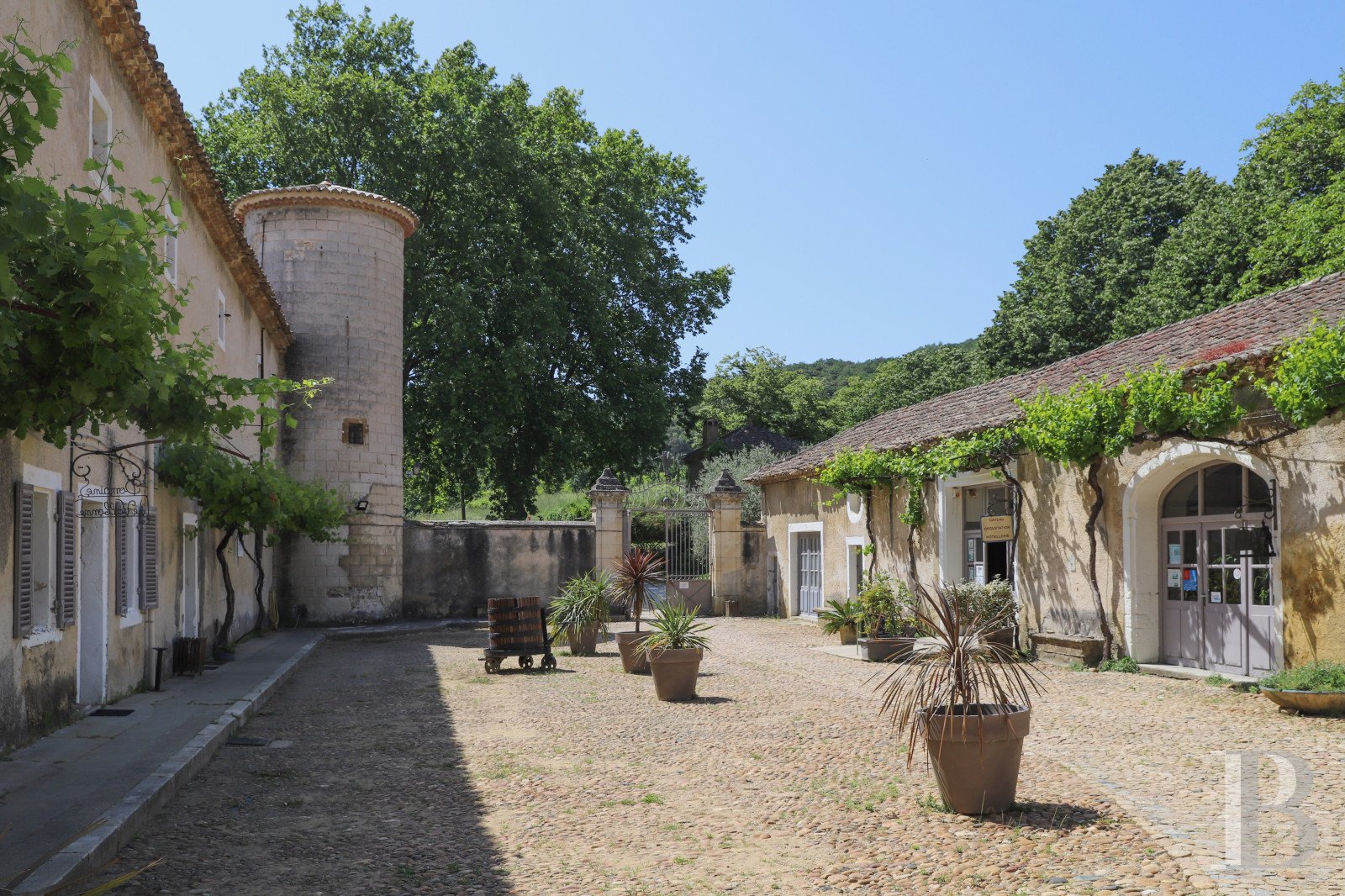 Francis York Patrice Besse Former Carthusian Monastery and Wine Estate in Southern France 00008.jpg