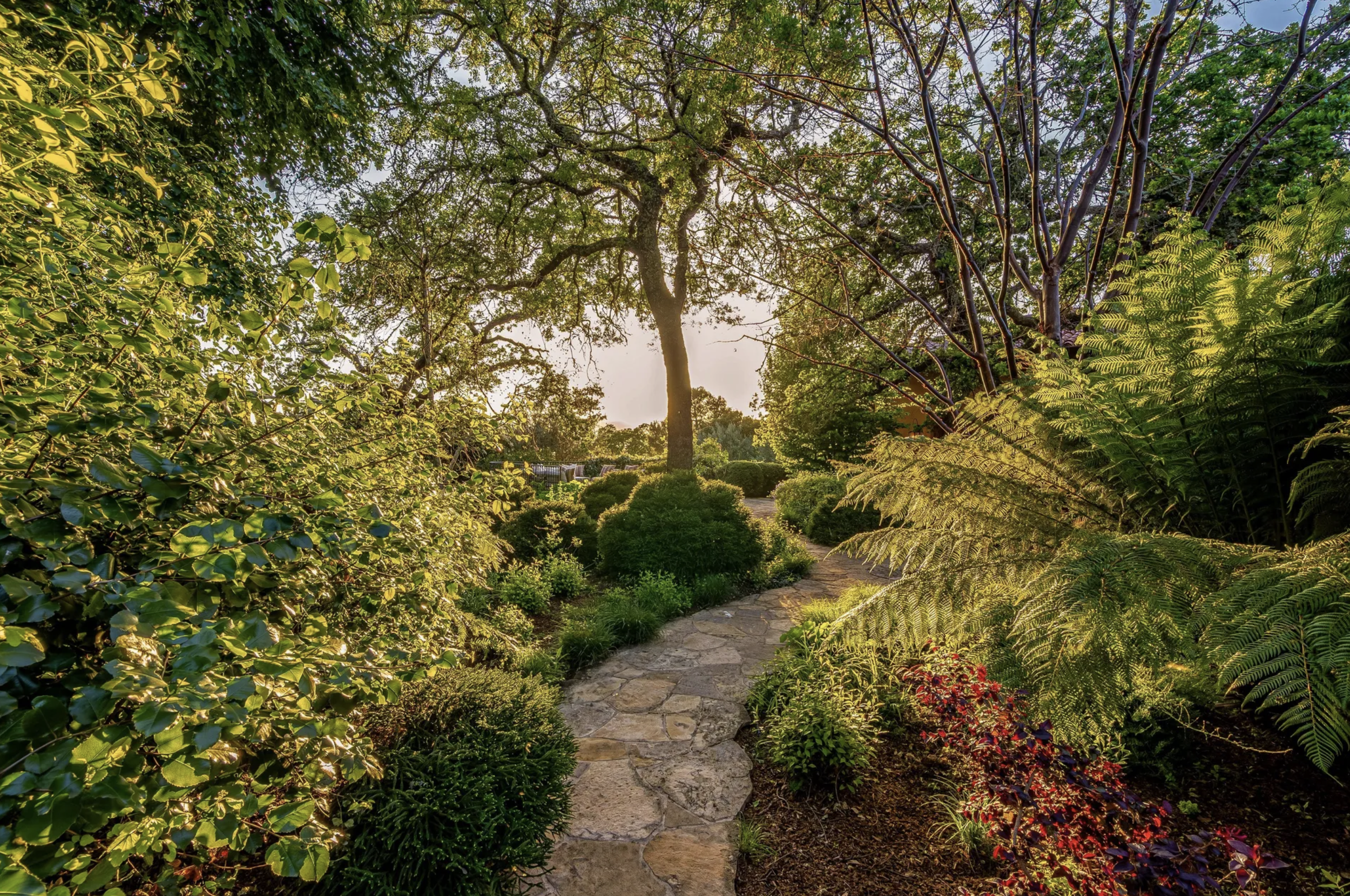 Francis-York-Napa-Valley-Estate-27.png