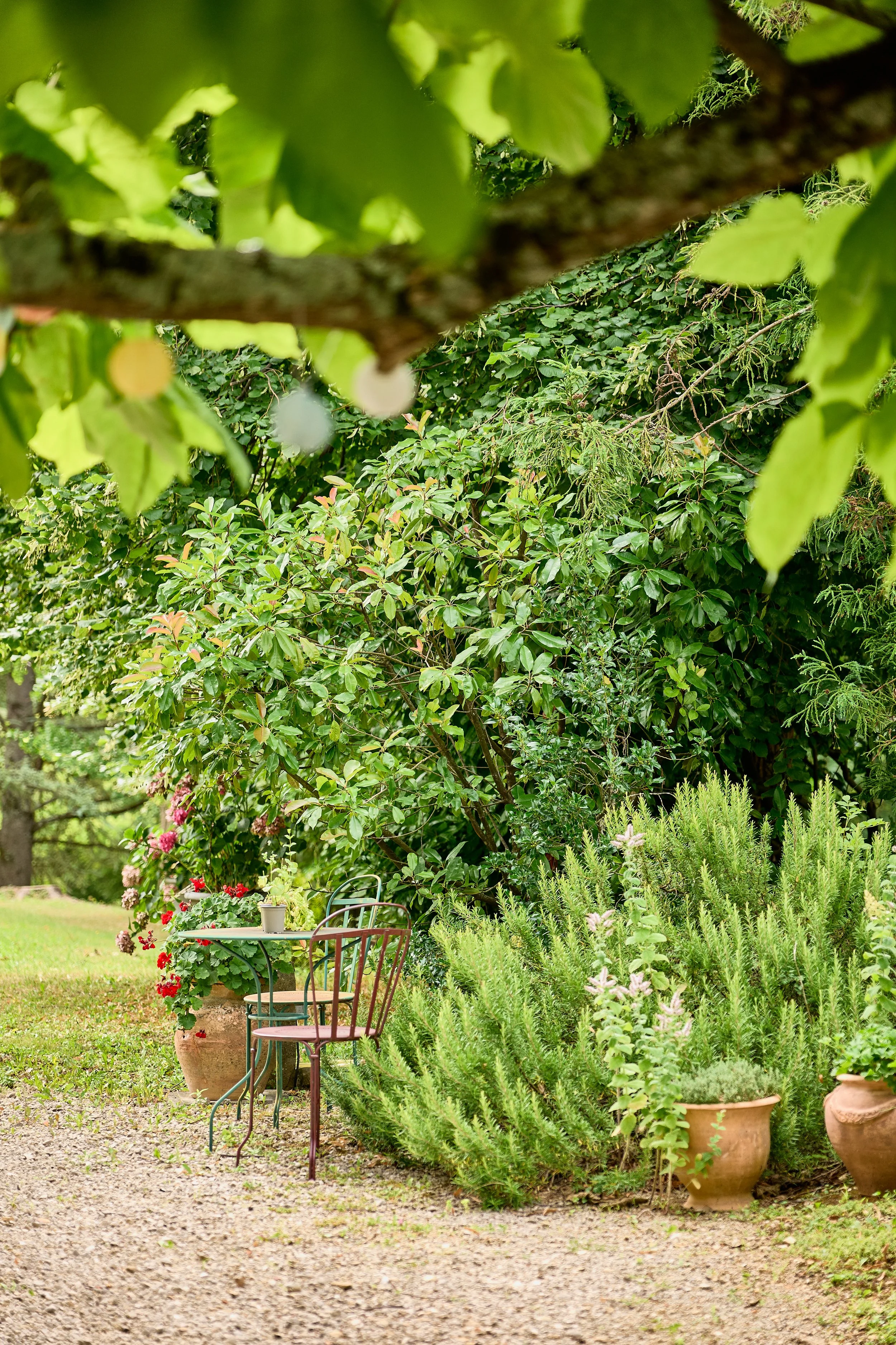 Francis-York-arriere-cour-french-country-house-montmorot-6.jpg