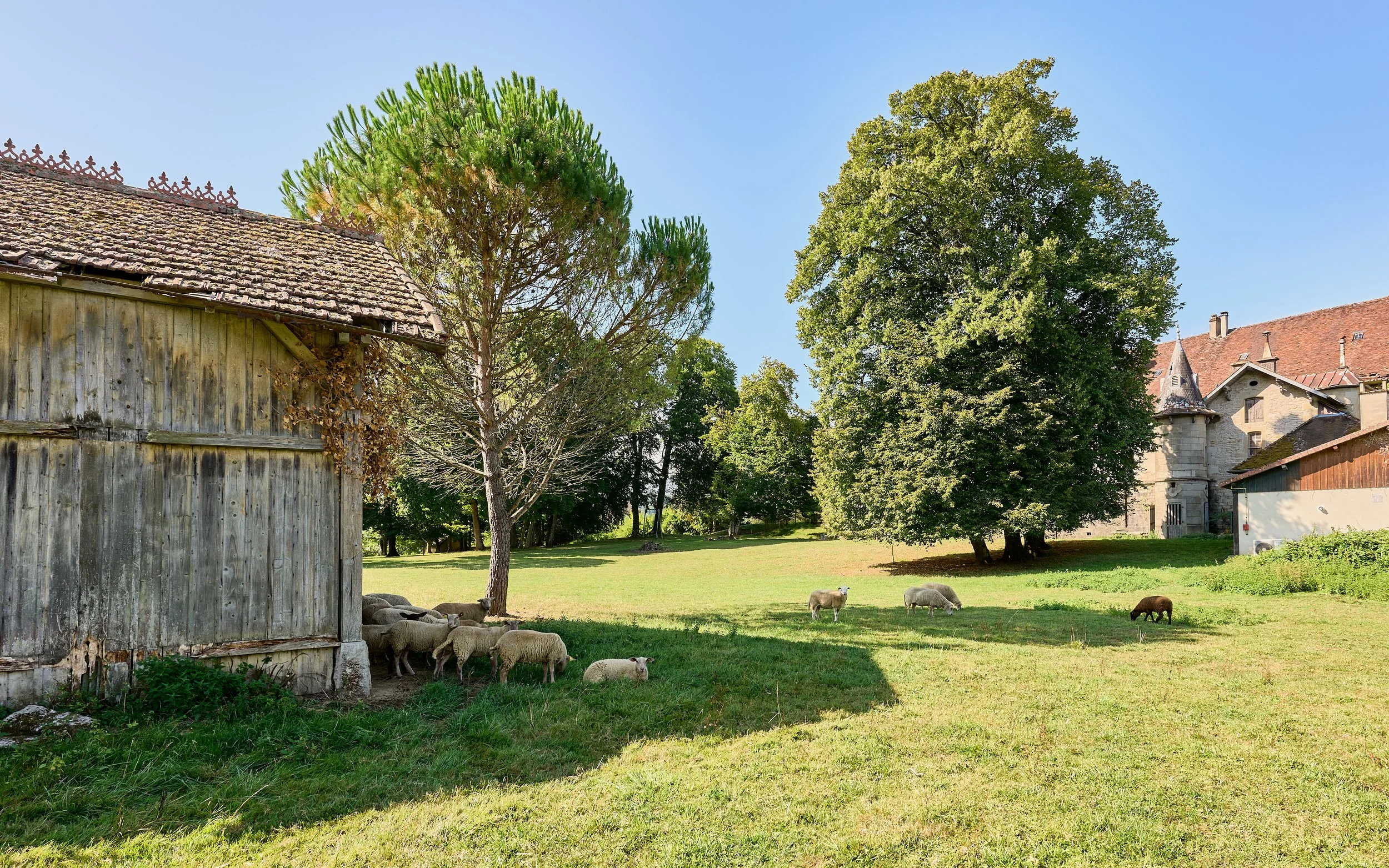 Francis-York-arriere-cour-french-country-house-montmorot5.jpg