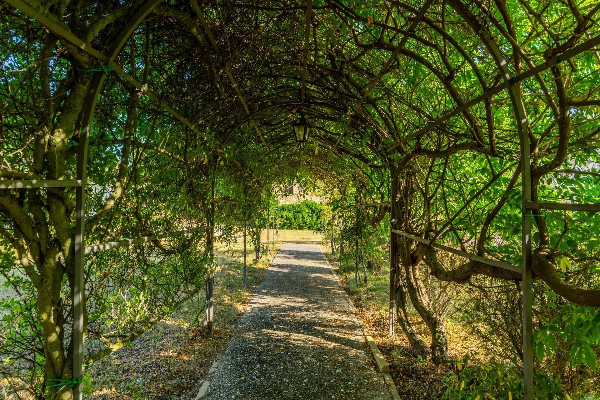 for-sale-entire-village-in-umbria-italy- (11).webp