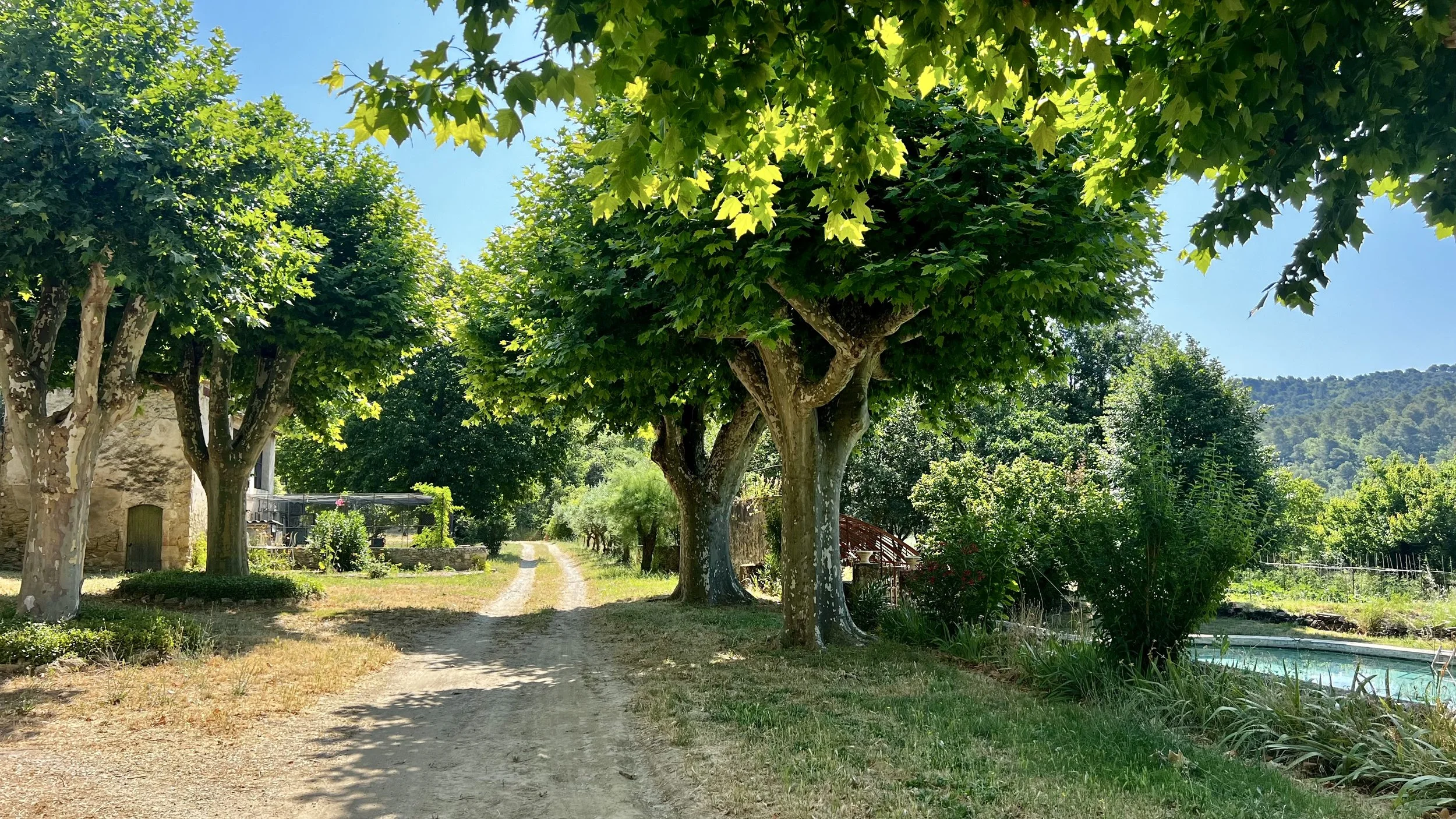 18th-Century Wine and Farming Estate in ProvenceAIX-6100-VB  (3).jpeg