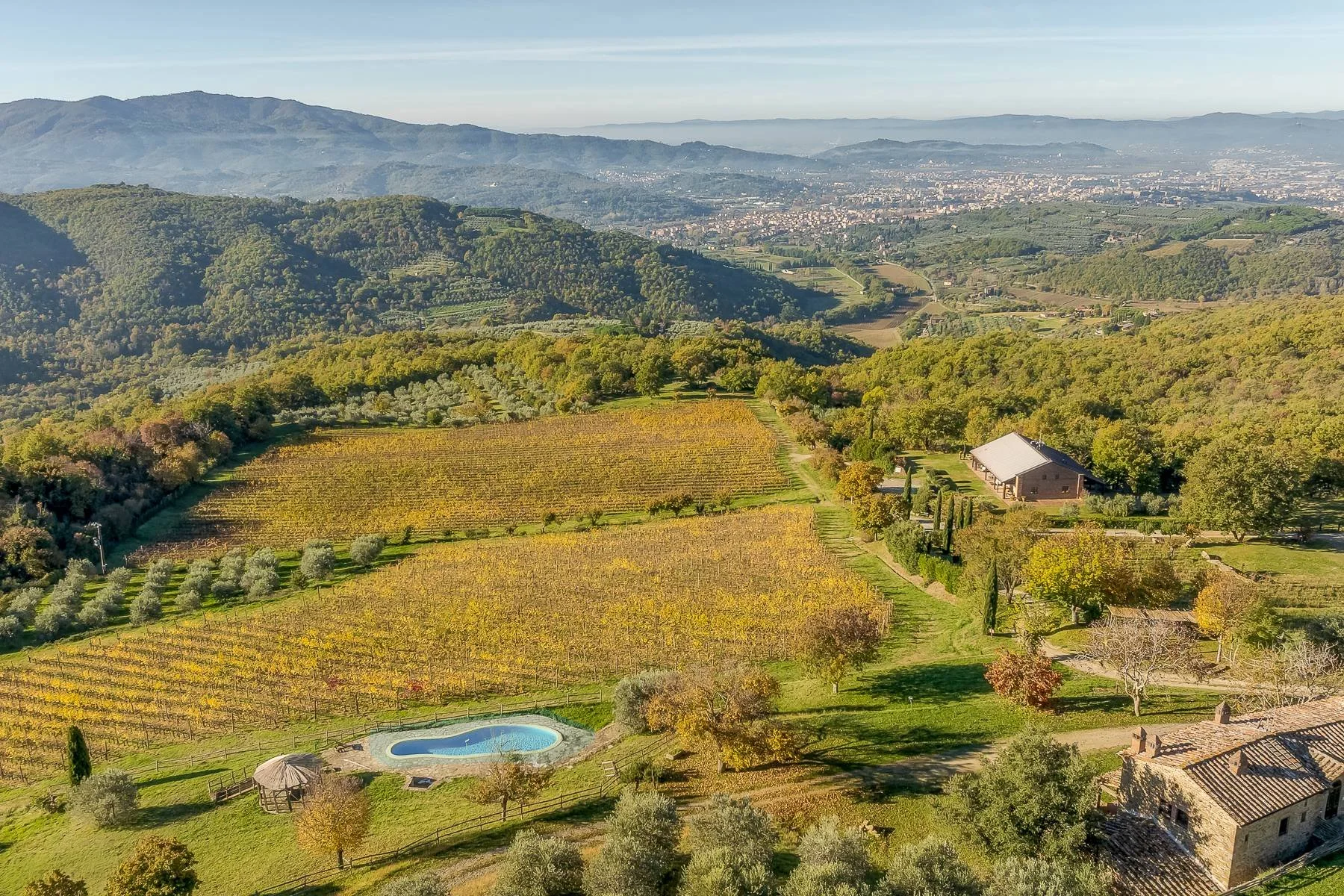 francis_york_56-Acre-Tuscan-Vineyard-Estate-Near-Arezzo-Italy-Sothebys.5.jpg