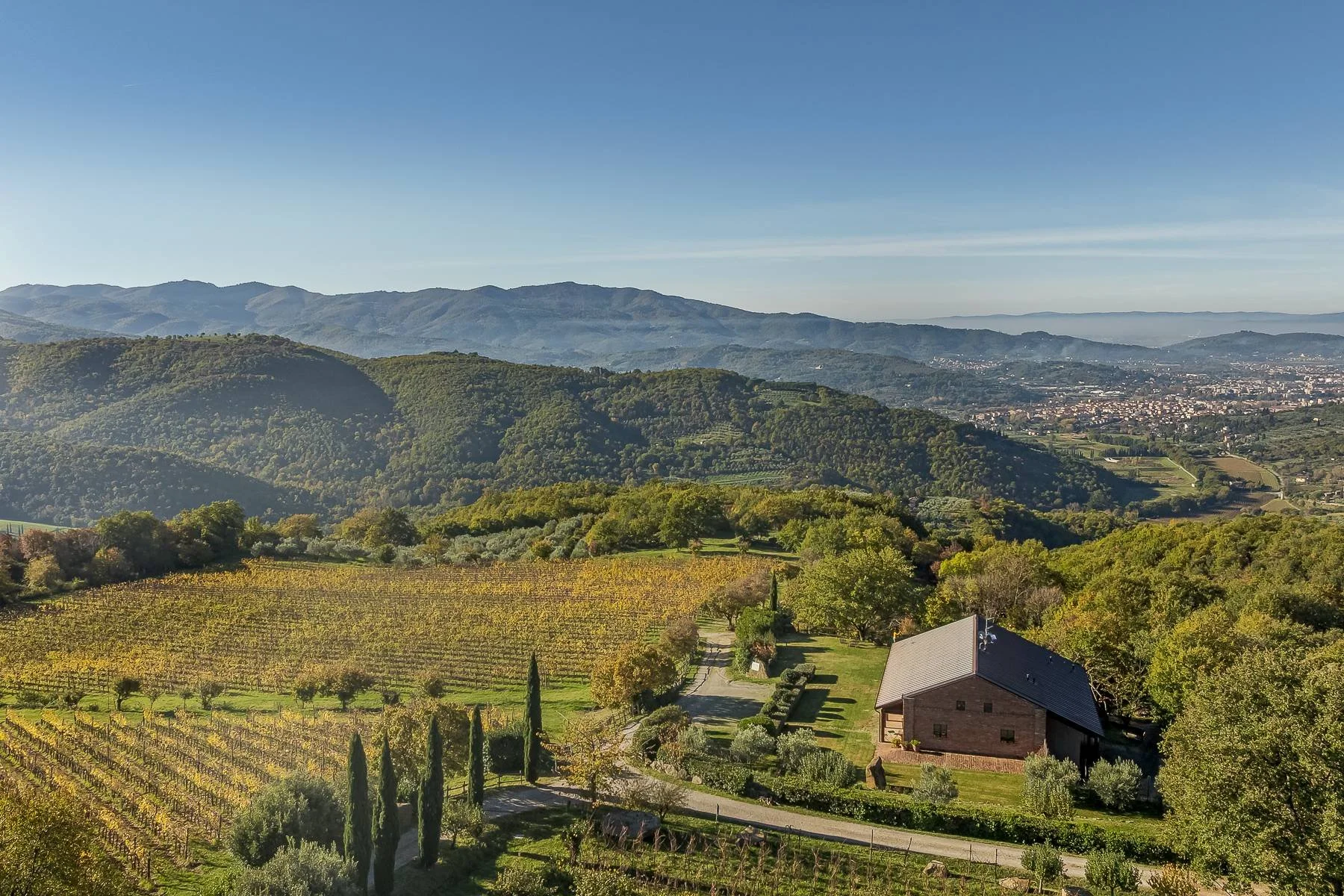 francis_york_56-Acre-Tuscan-Vineyard-Estate-Near-Arezzo-Italy-Sothebys.8.jpg