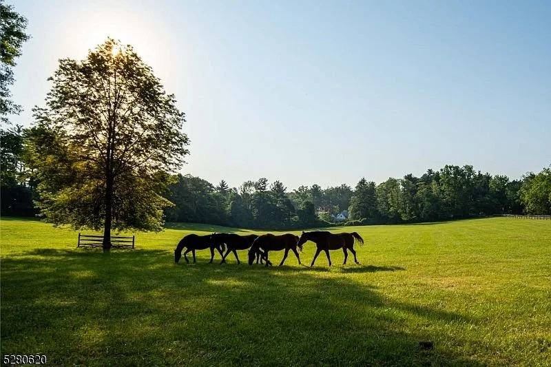 francis_york_1920s-norman-style-estate-on-77-acres-in-new-jerseys-somerset-hills-one-hour-from-nyc-18.jpg