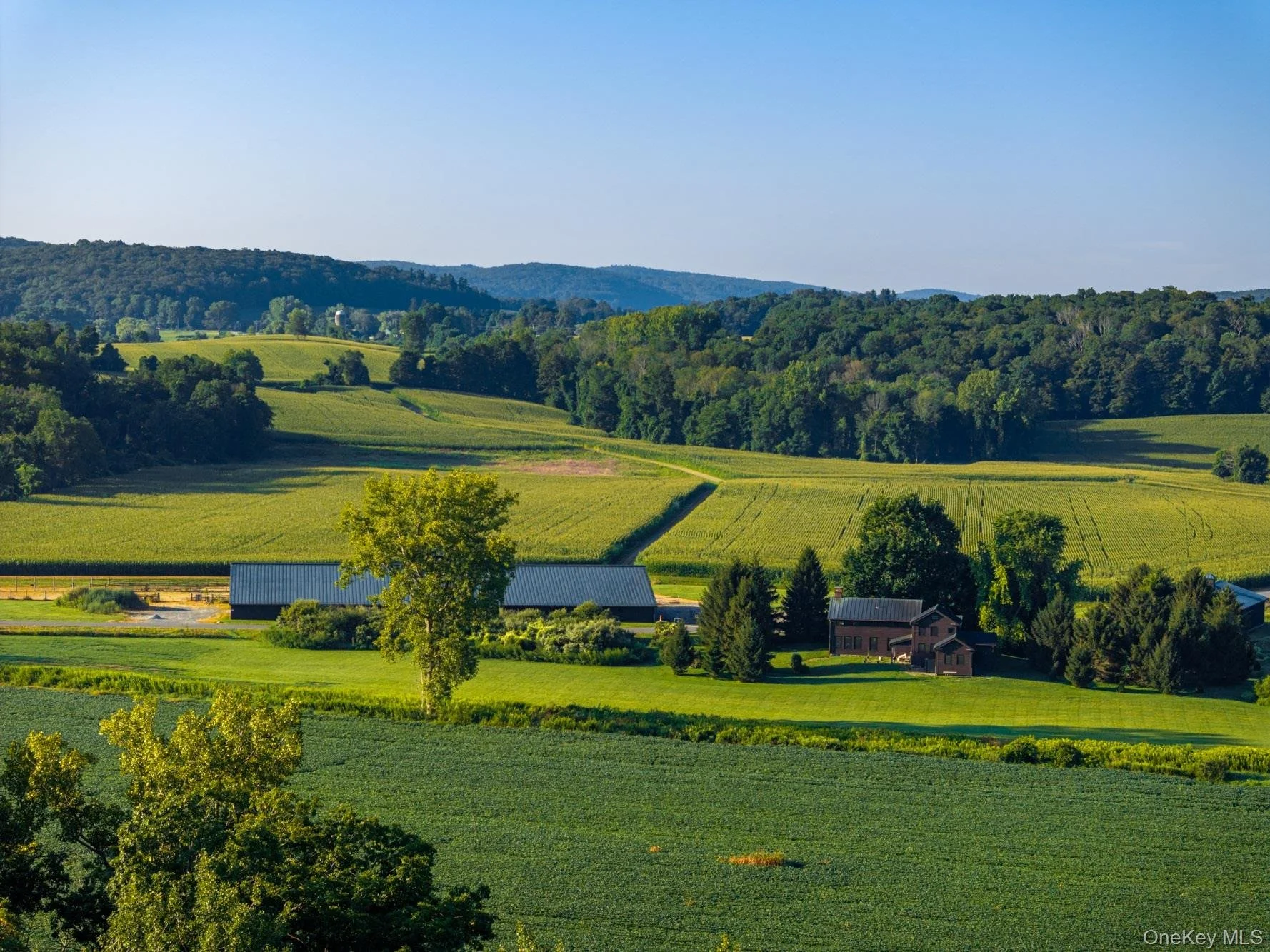 francis_york_FY-Mill-Farm-Ancramdale-NY-2000-Acre-Estate33.jpeg