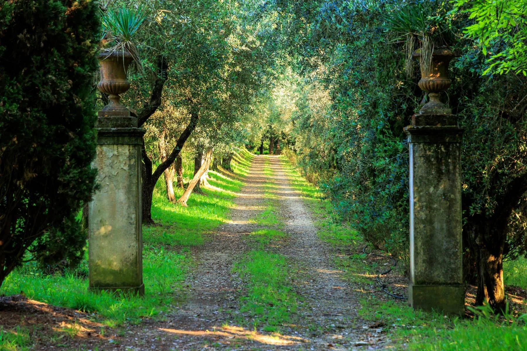 francis_york_medici-era-villa-hills-near-florence-32.jpg