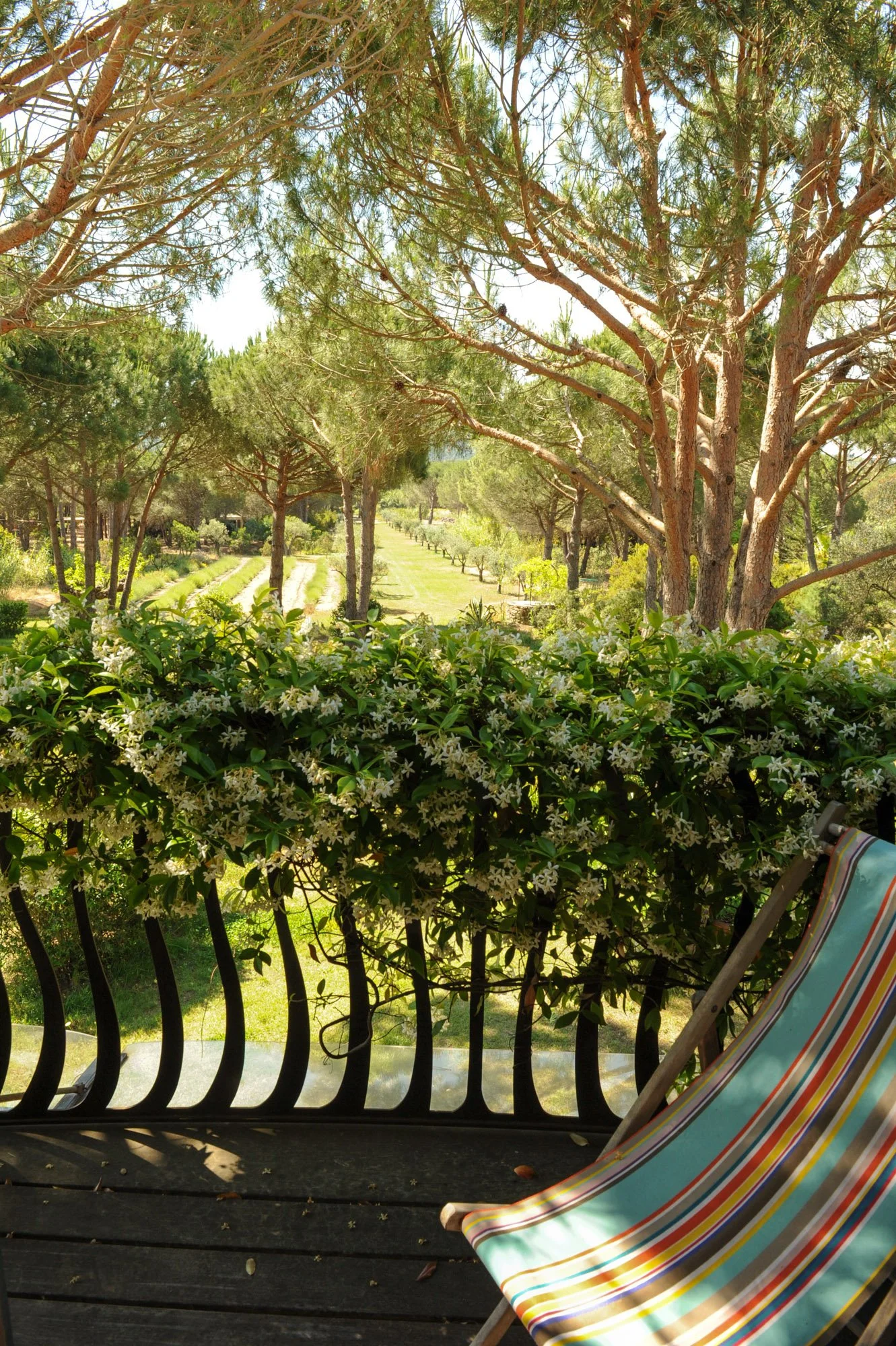 ramatuelle-saint-tropez-pampellone-beach (50).jpg