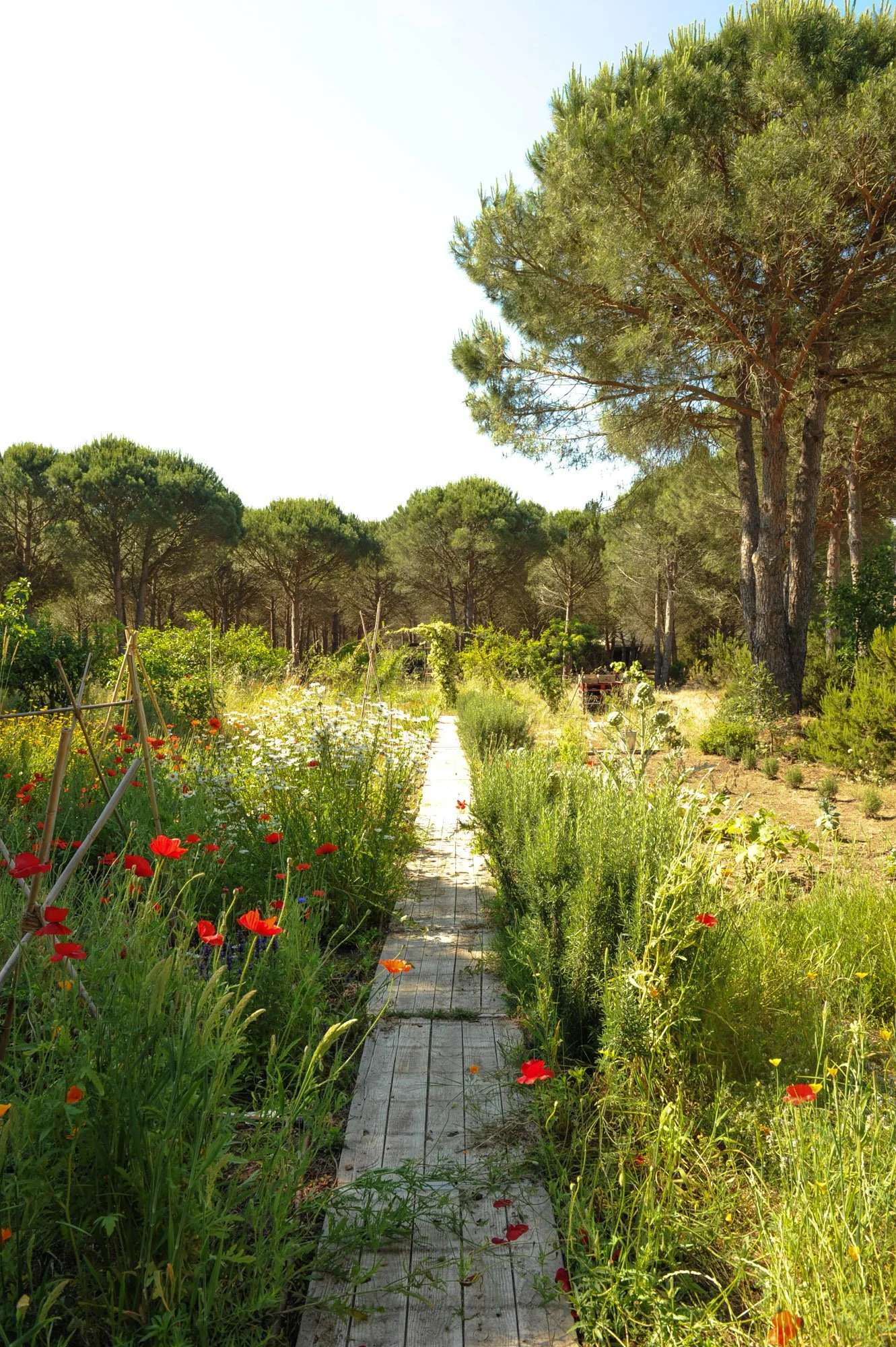 ramatuelle-saint-tropez-pampellone-beach (14).jpg