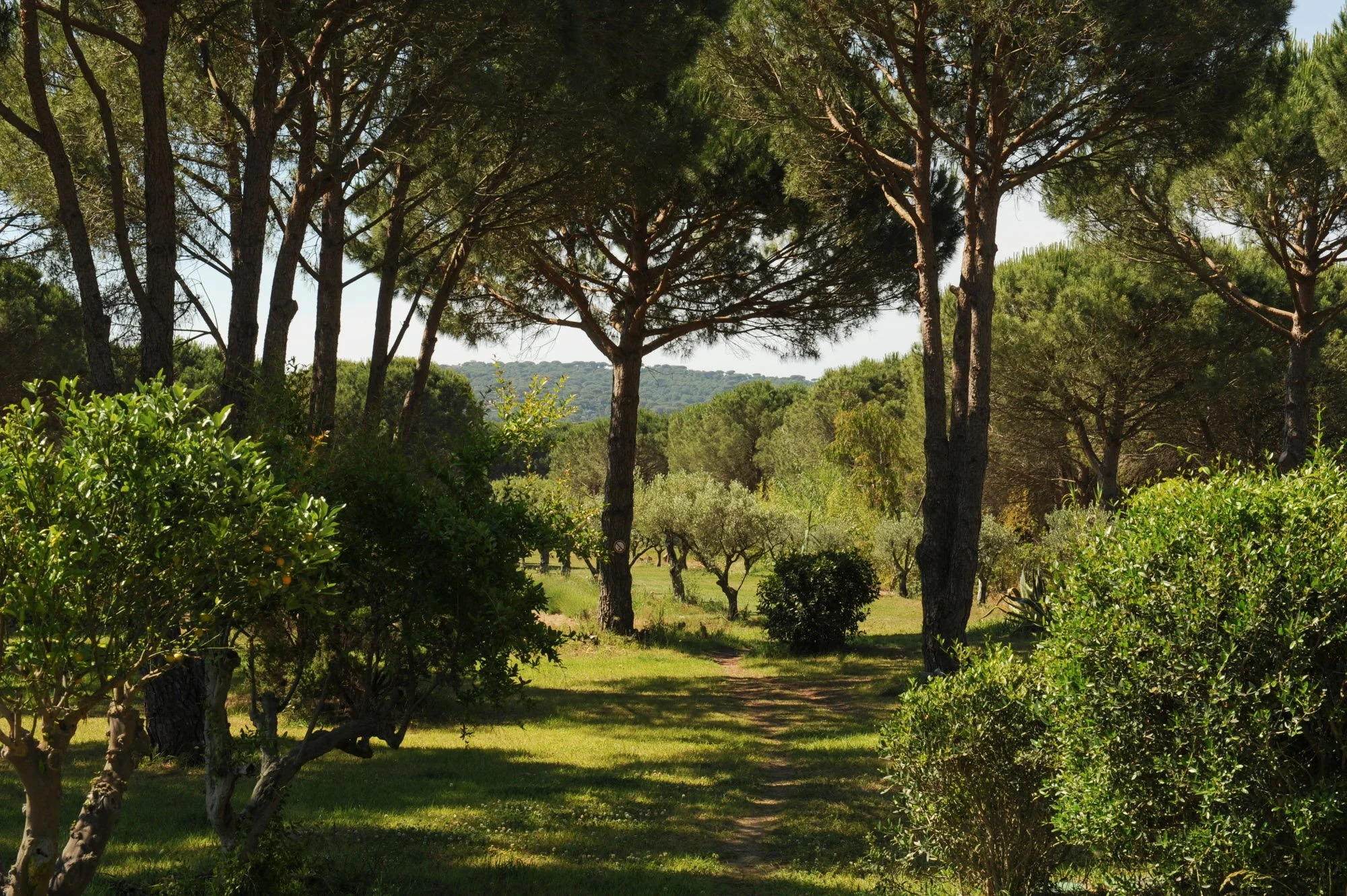 ramatuelle-saint-tropez-pampellone-beach (31).jpg