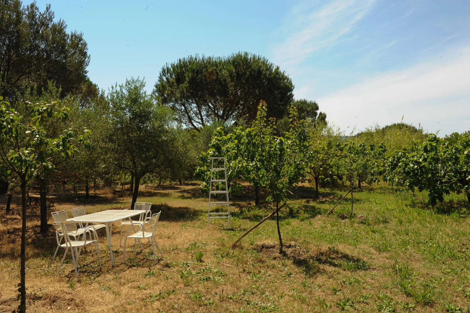 ramatuelle-saint-tropez-pampellone-beach (25).jpg