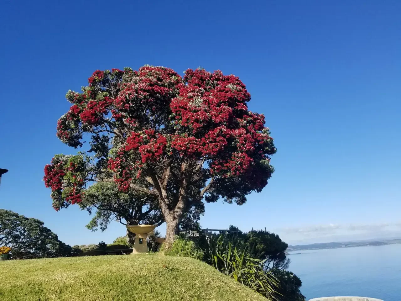 Francis-York- Eagles-Motuarohia-New-Zealand-Bay-of-Islands-Barfoot-Clifftop-Home-18.webp
