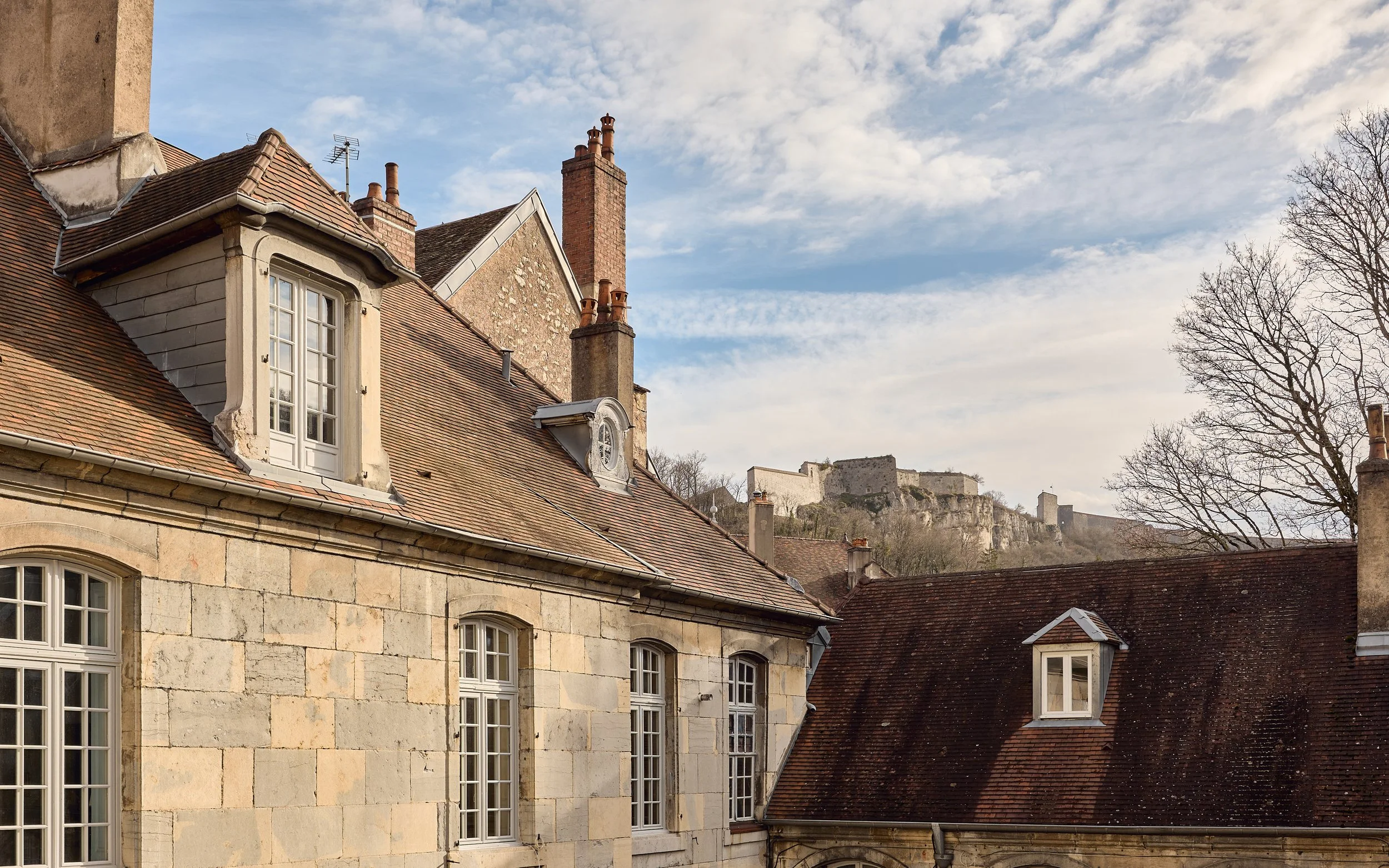 Francis-York-a-classic-french-apartment-in-an-18th-century-hotel-particulier-in-besancon-55.jpg