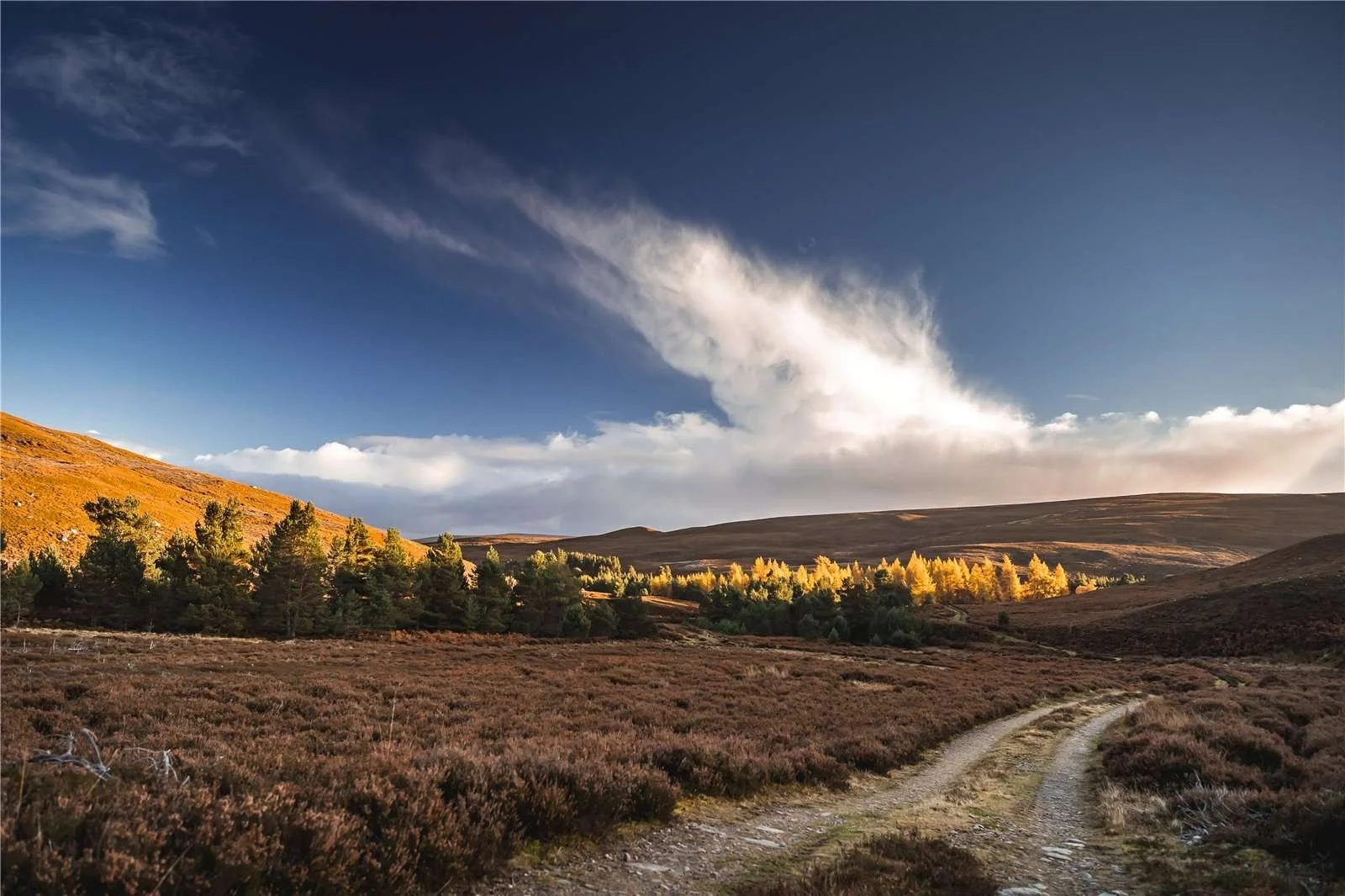 tulchan-estate-22k-acre-scottish-estate-larger-than-manhattan-4.jpeg