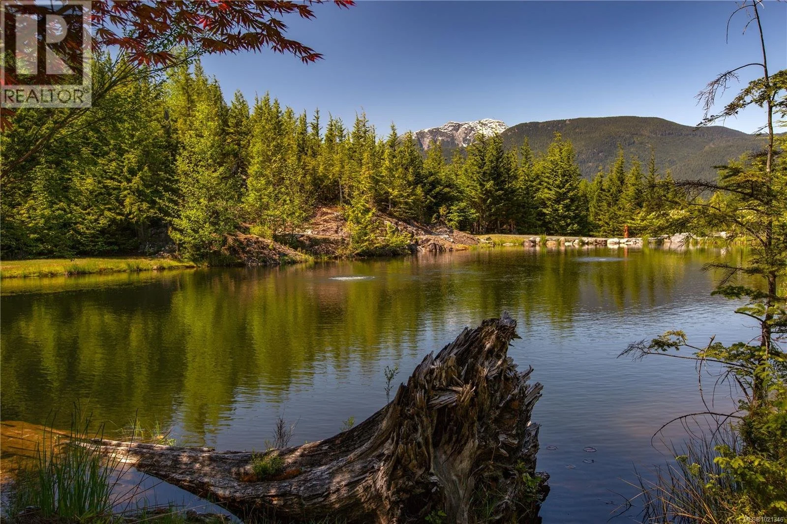 francis-york-francis-york-british-columbia-stuart-island-goose-landing-estate-oceanfront-lodge-83.jpg