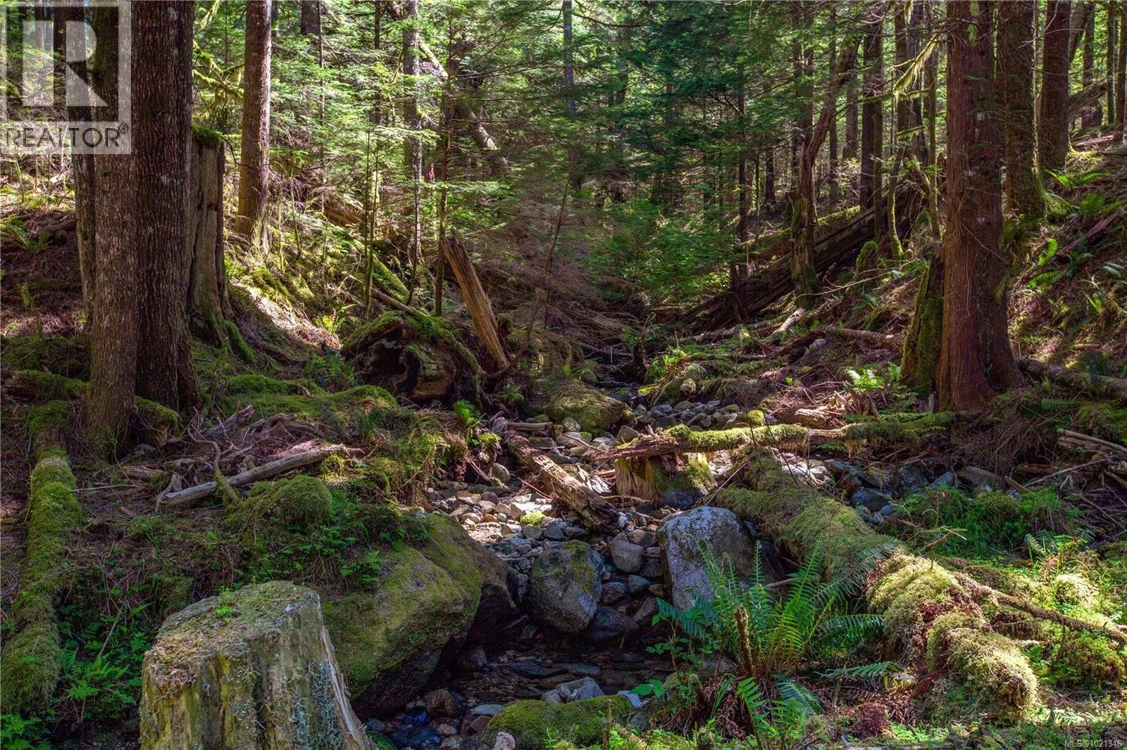 francis-york-francis-york-british-columbia-stuart-island-goose-landing-estate-oceanfront-lodge-79.jpg