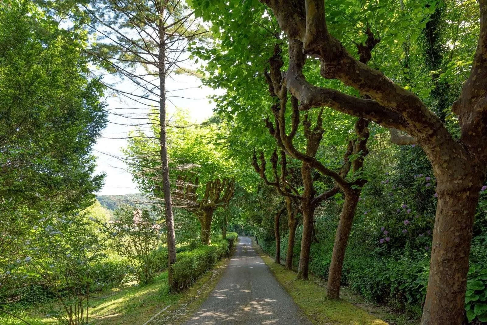 106-acre-historic-estate-portugal-sintra-luxury-property-francis-cook-pombal30.jpeg