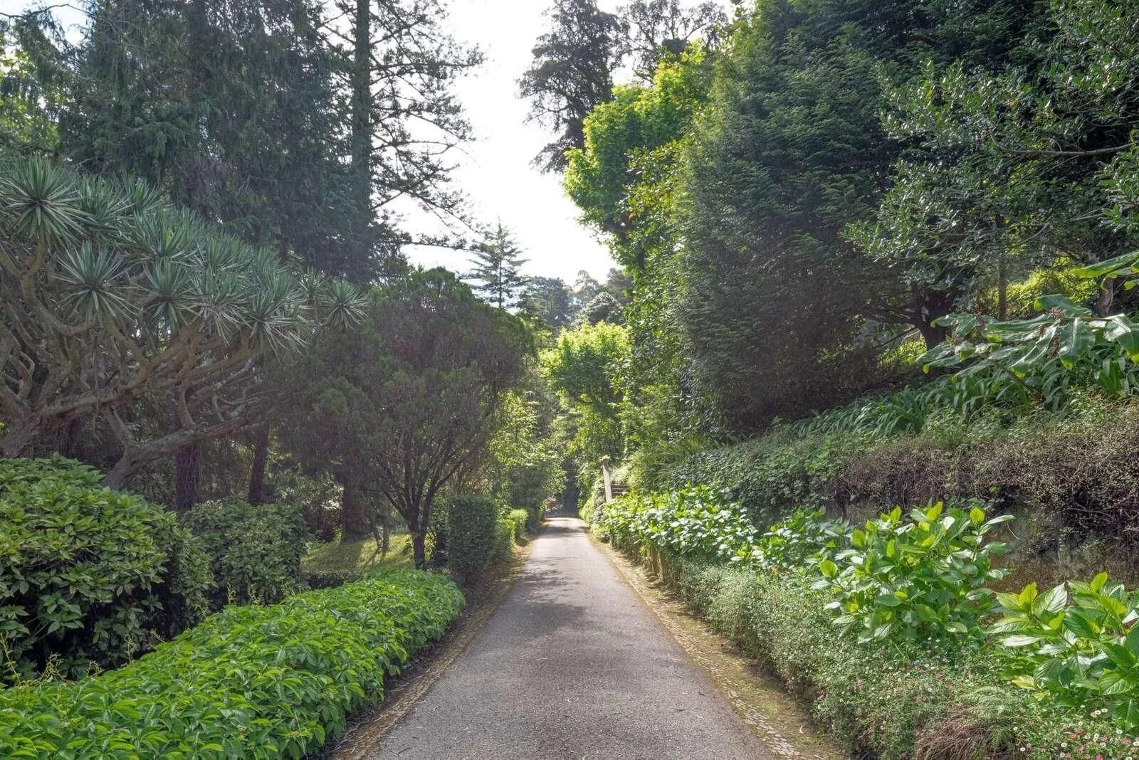 106-acre-historic-estate-portugal-sintra-luxury-property-francis-cook-pombal54.jpeg
