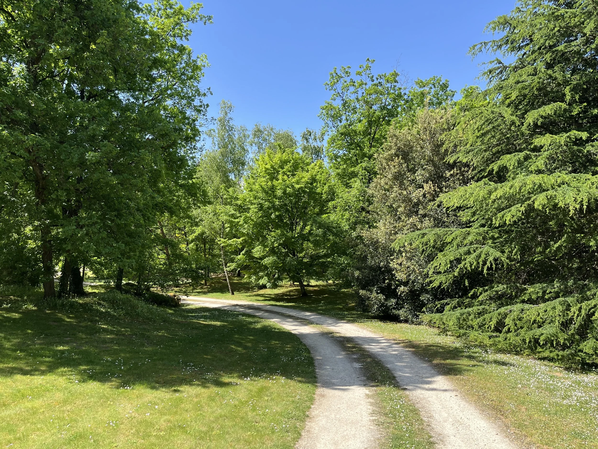 francis-york-renovated-country-house-indoor-pool-8-acres-lardy-essonne-south-of-paris-17.jpg