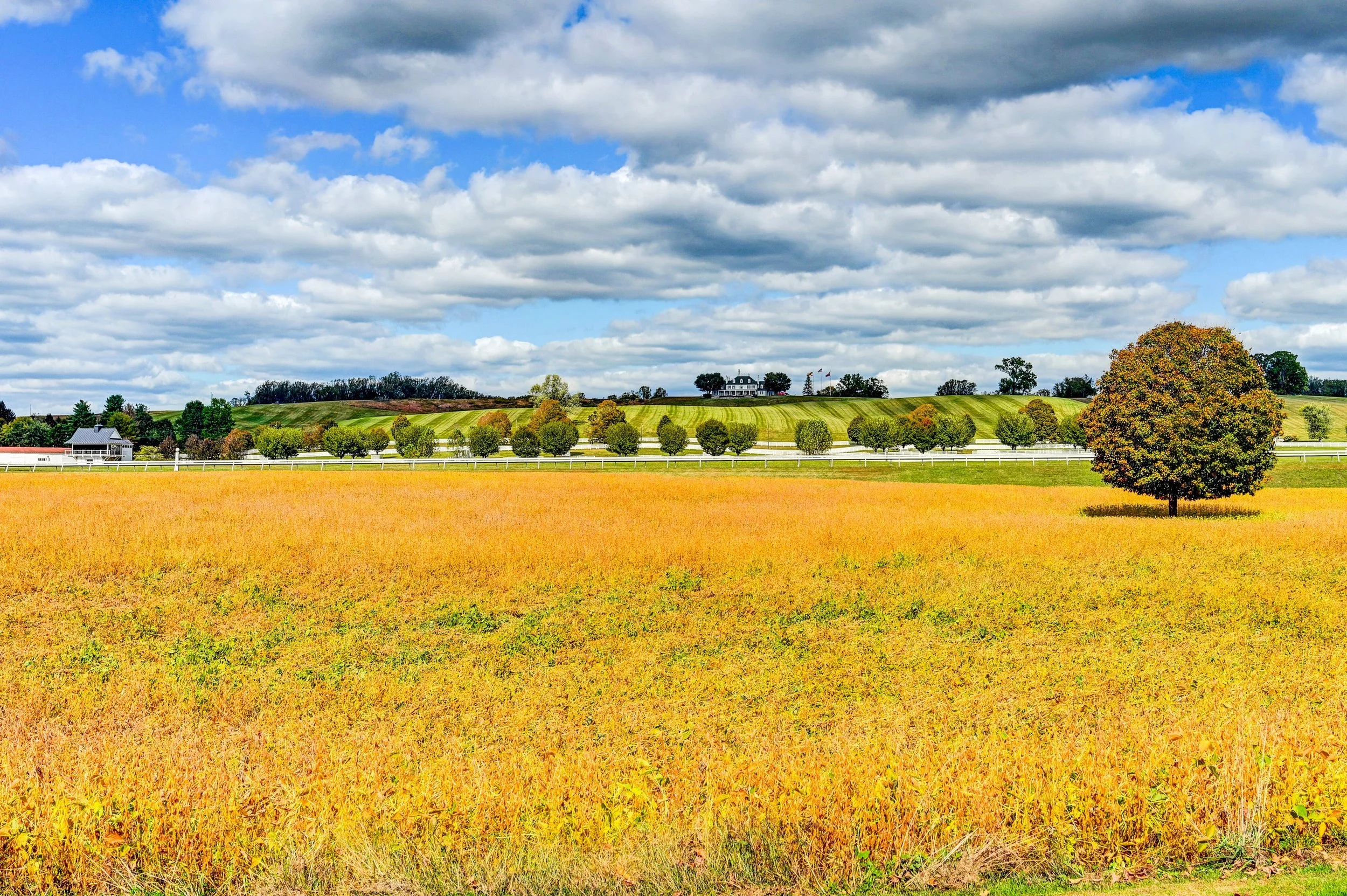 francis-york-sagamore-farm-vanderbilt-under-armour-maryland-equestrian-estate-103.jpg