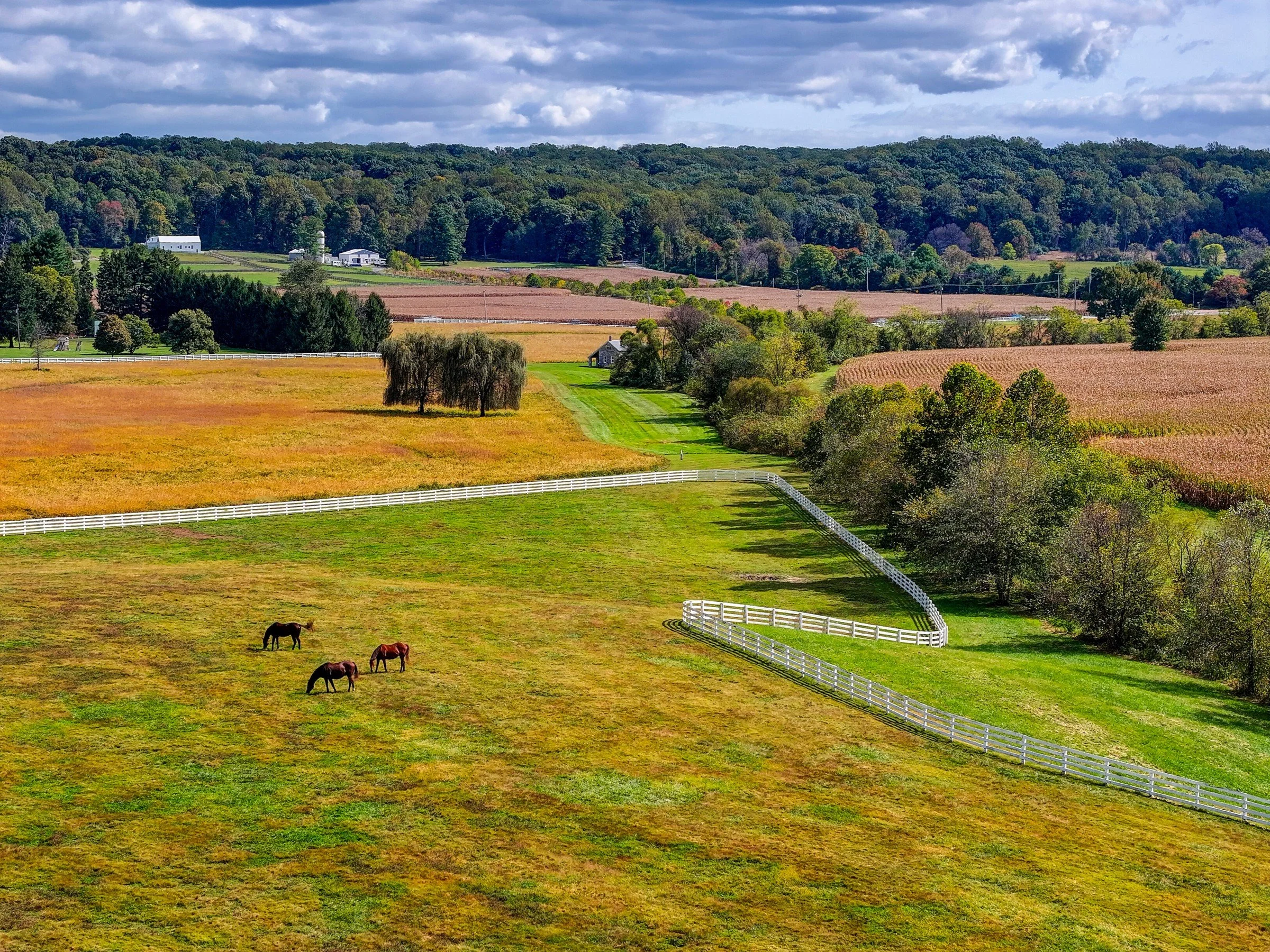 francis-york-sagamore-farm-vanderbilt-under-armour-maryland-equestrian-estate-132.jpg