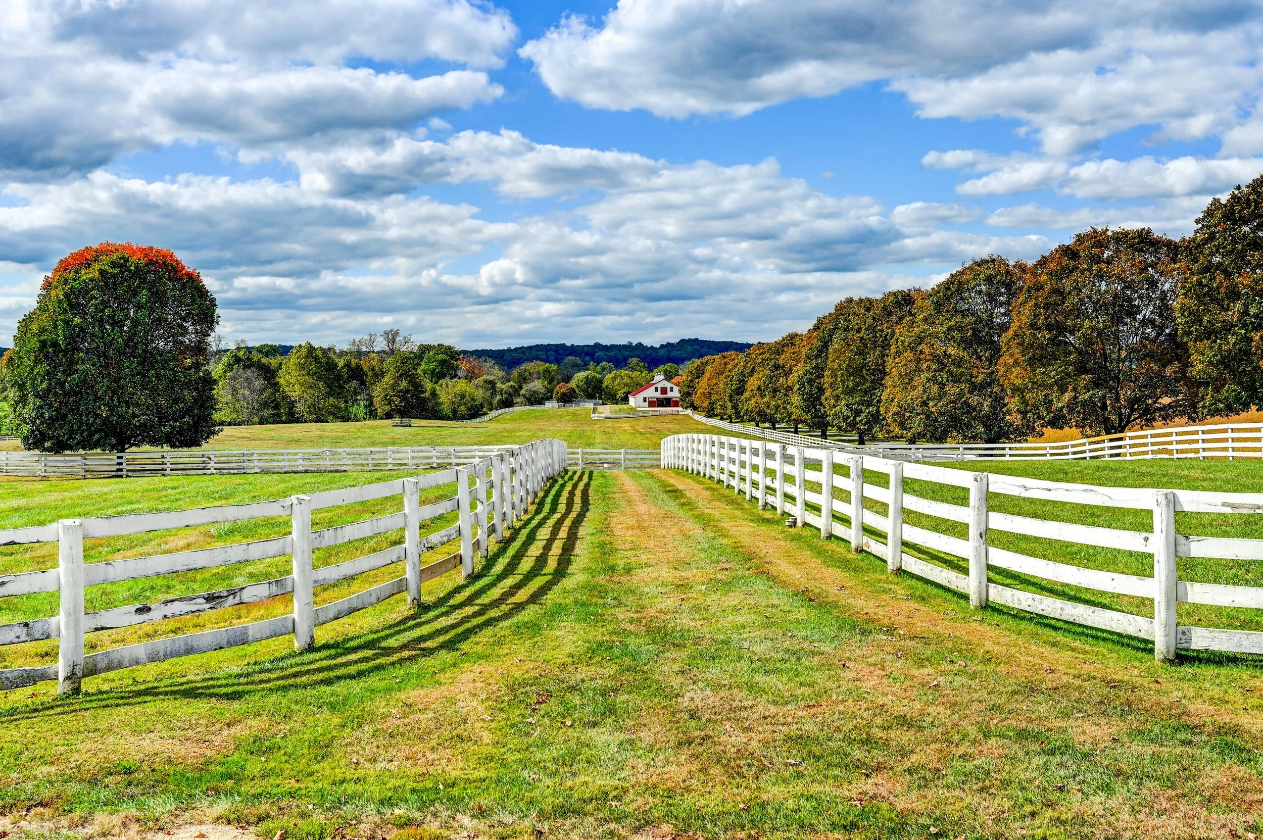 francis-york-sagamore-farm-vanderbilt-under-armour-maryland-equestrian-estate-77.jpg