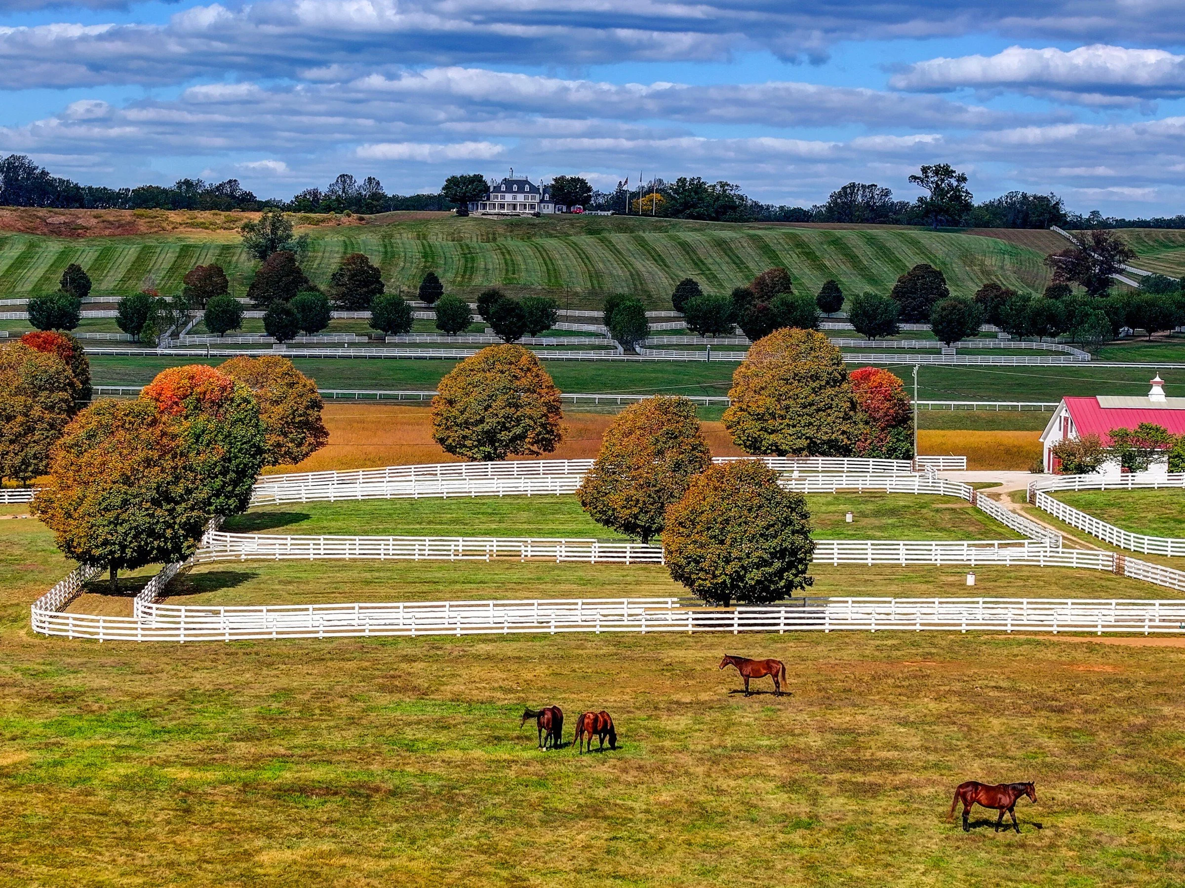 francis-york-sagamore-farm-vanderbilt-under-armour-maryland-equestrian-estate-137.jpg