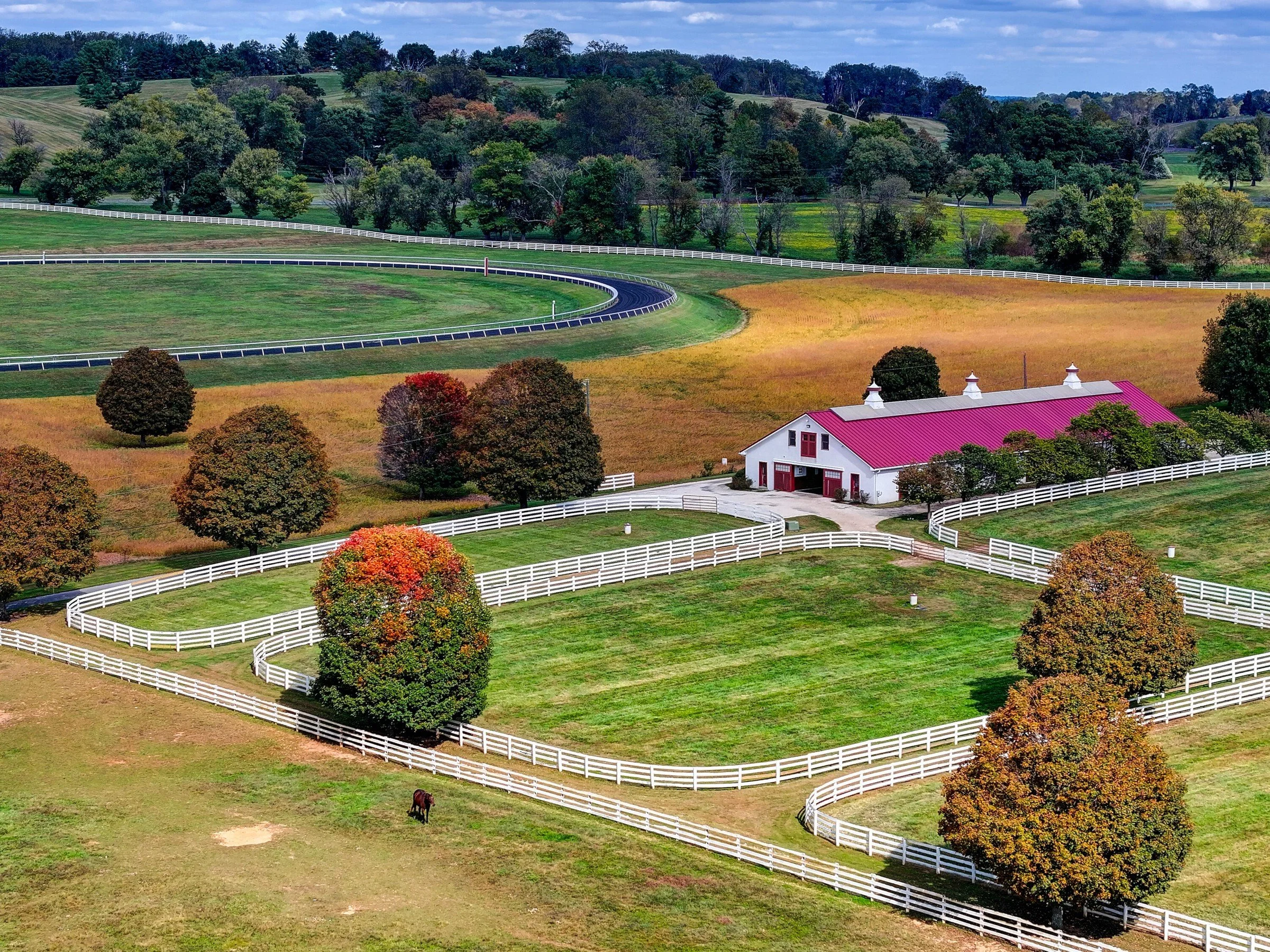 francis-york-sagamore-farm-vanderbilt-under-armour-maryland-equestrian-estate-133.jpg