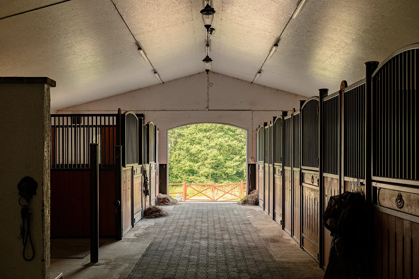 francis-york-lakefront-swedish-farmhouse-equestrian-estate-near-stockholm-16.jpeg