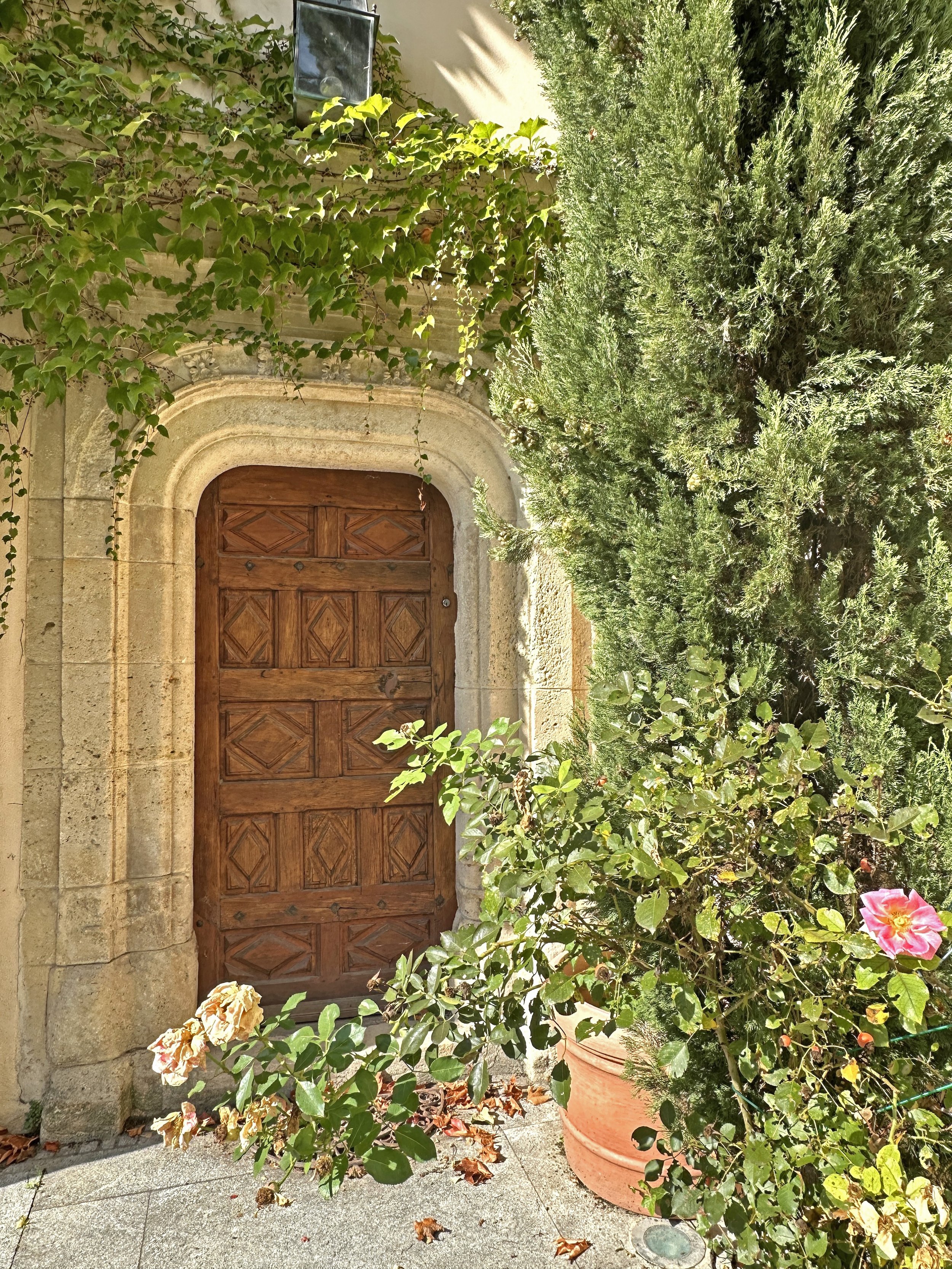 francis-york-16th-century-private-mansion-grignan-france-4.jpg
