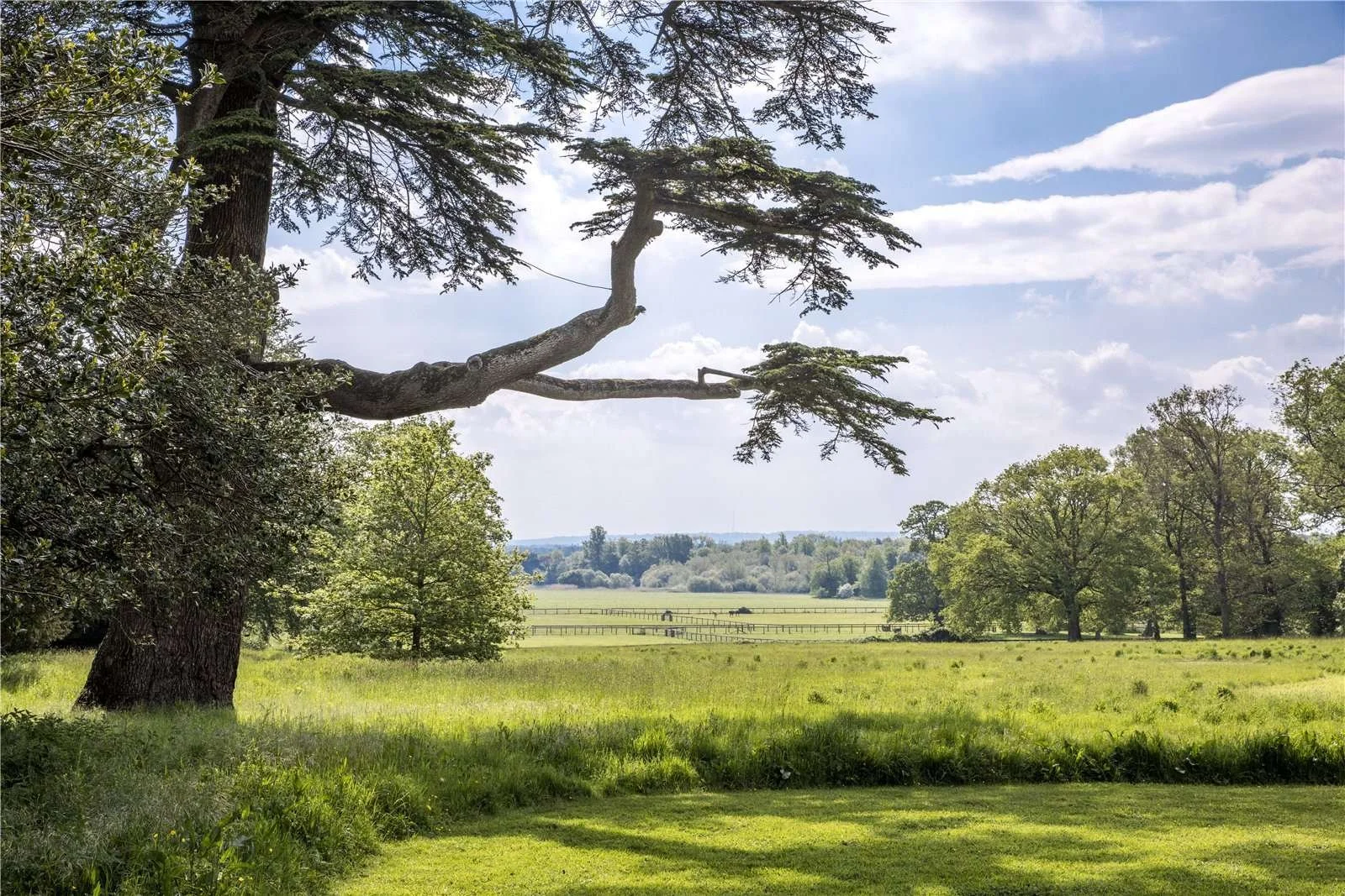 francis-york-kirtlington-park-savills-1.jpeg