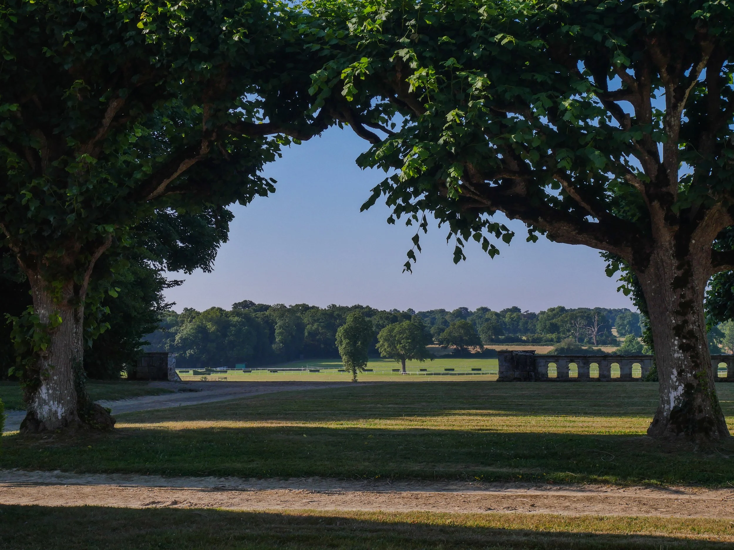 francis-york-anjou-chateau-kings-horses-denniel-immobilier-104.jpg