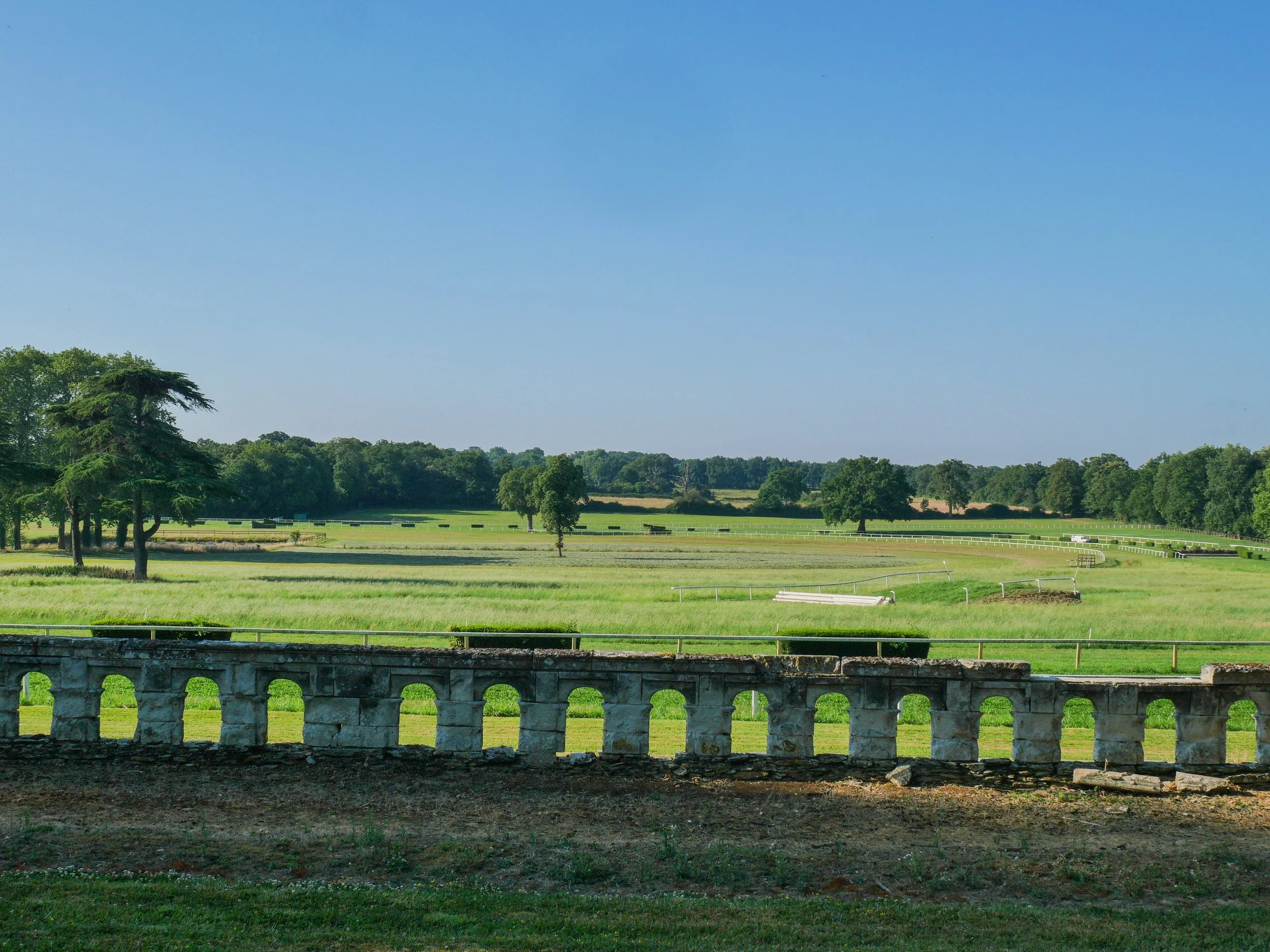 francis-york-anjou-chateau-kings-horses-denniel-immobilier-107.jpg