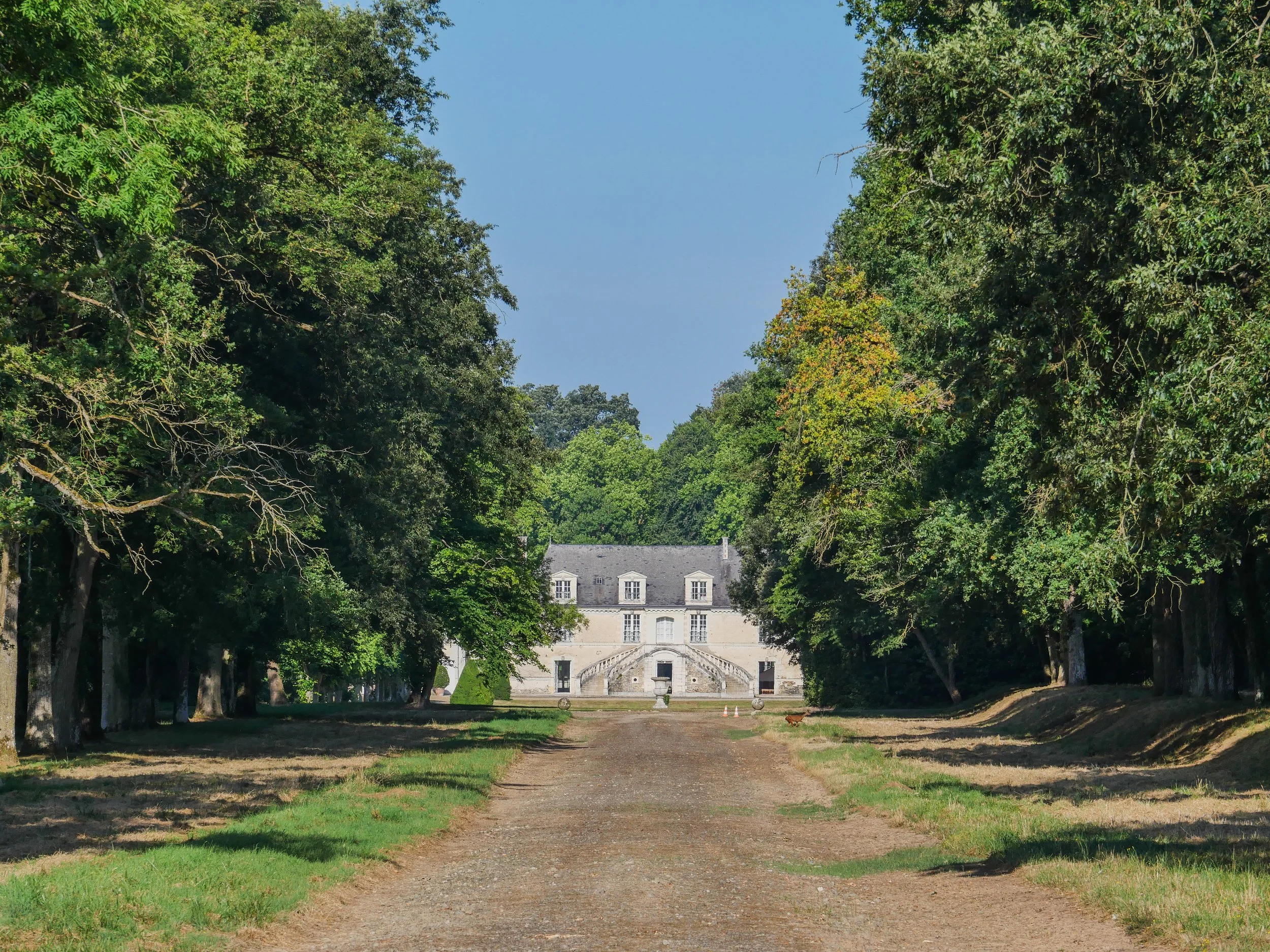 francis-york-anjou-chateau-kings-horses-denniel-immobilier-109.jpg