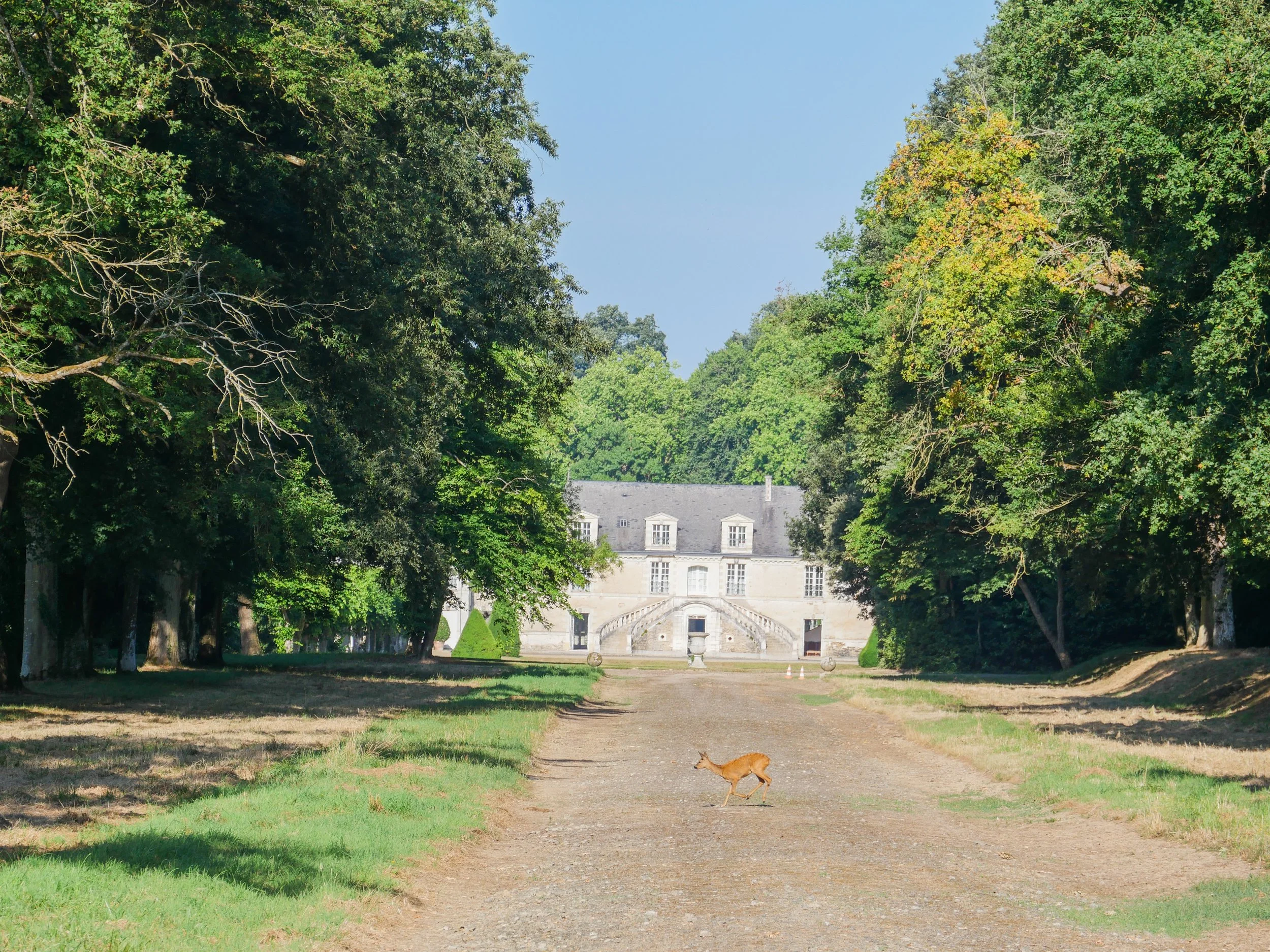 francis-york-anjou-chateau-kings-horses-denniel-immobilier-110.jpg