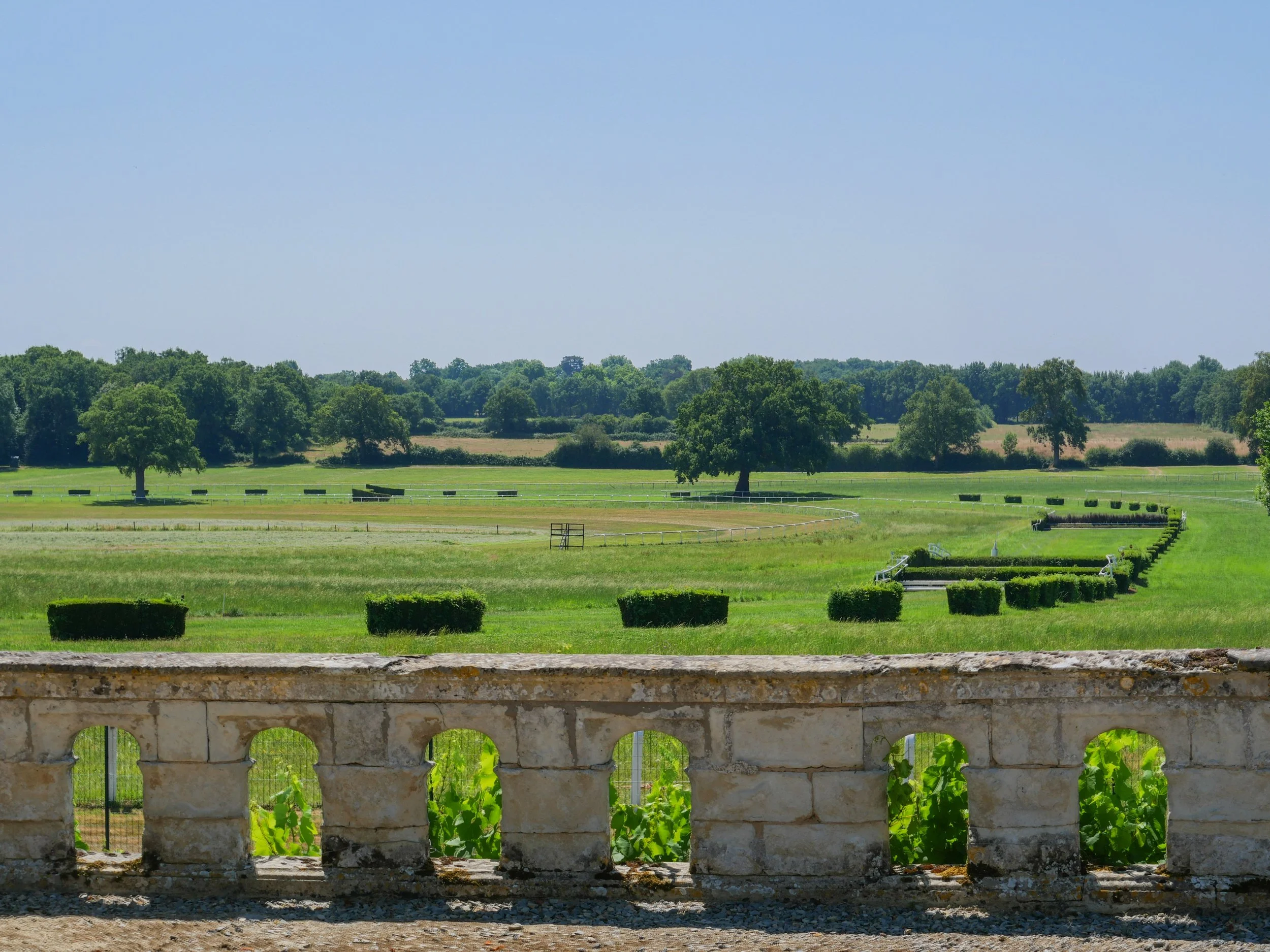 francis-york-anjou-chateau-kings-horses-denniel-immobilier-43.jpg