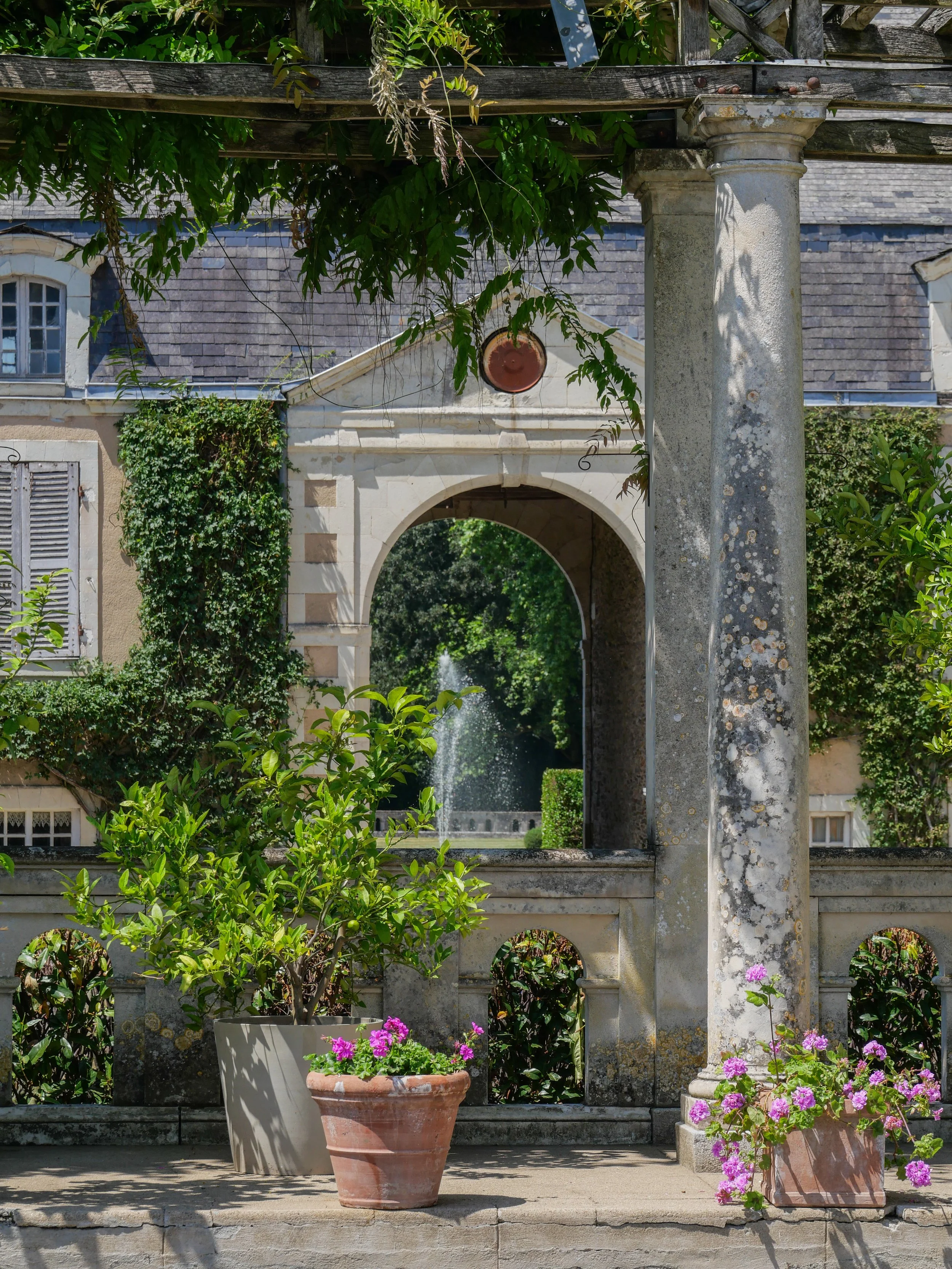 francis-york-anjou-chateau-kings-horses-denniel-immobilier-44.jpg
