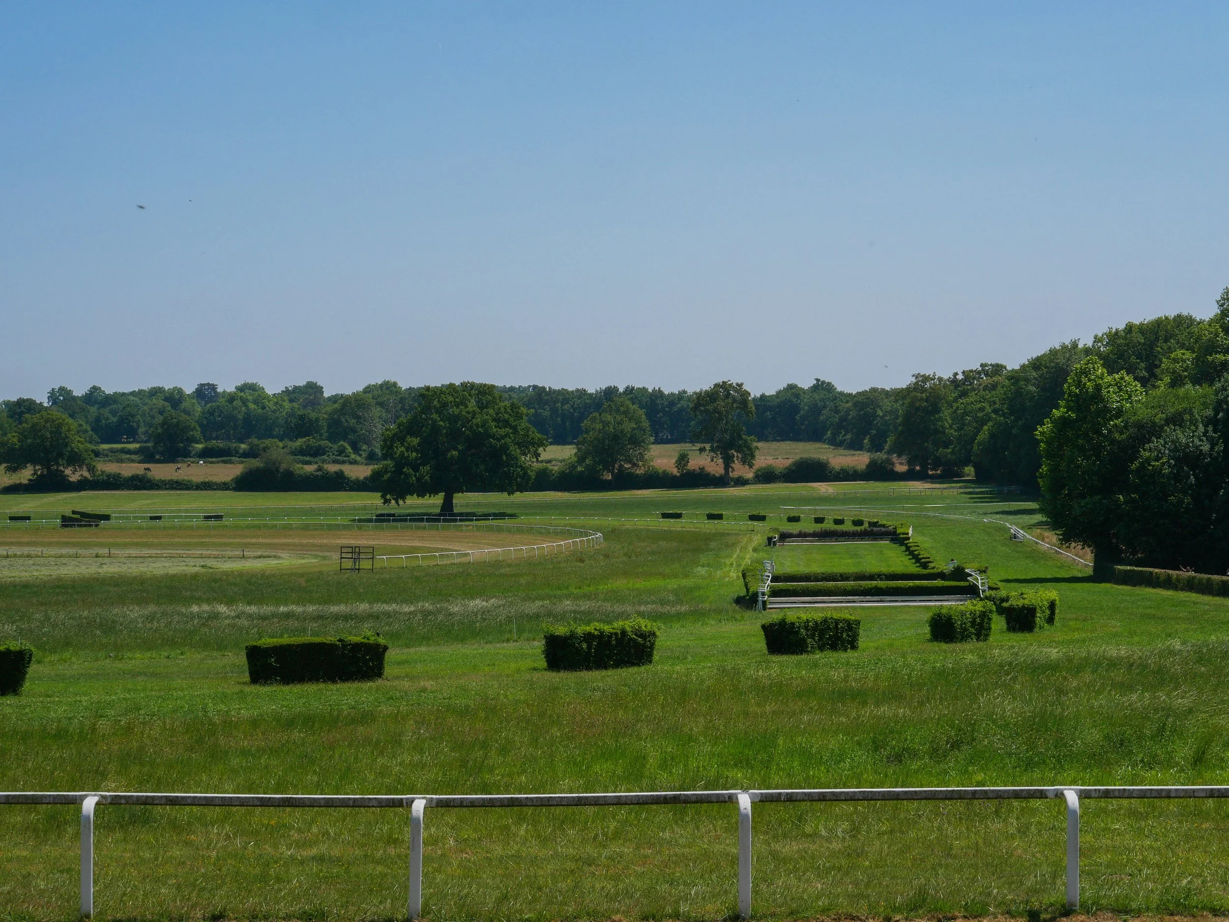 francis-york-anjou-chateau-kings-horses-denniel-immobilier-47.jpg