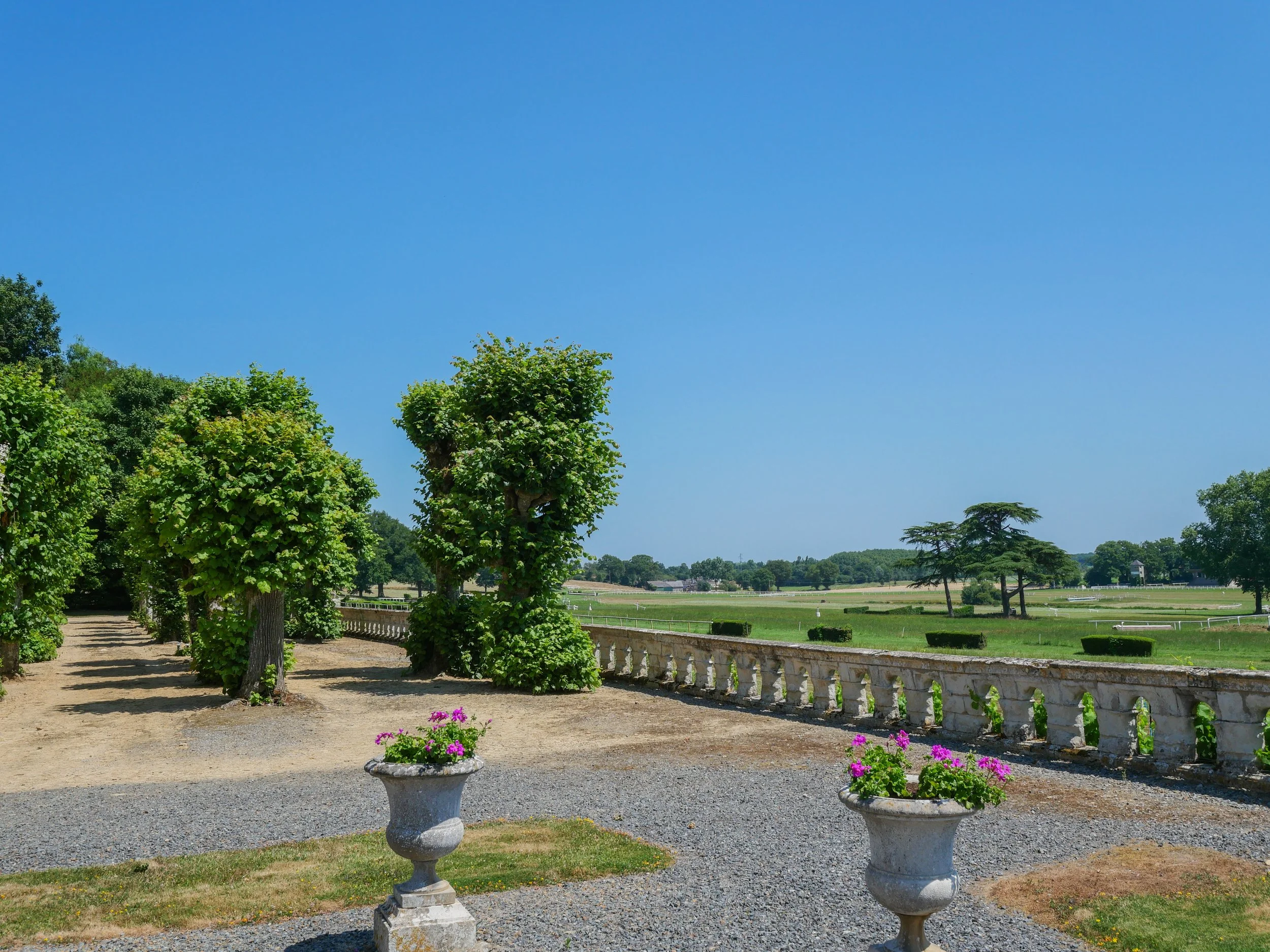 francis-york-anjou-chateau-kings-horses-denniel-immobilier-48.jpg