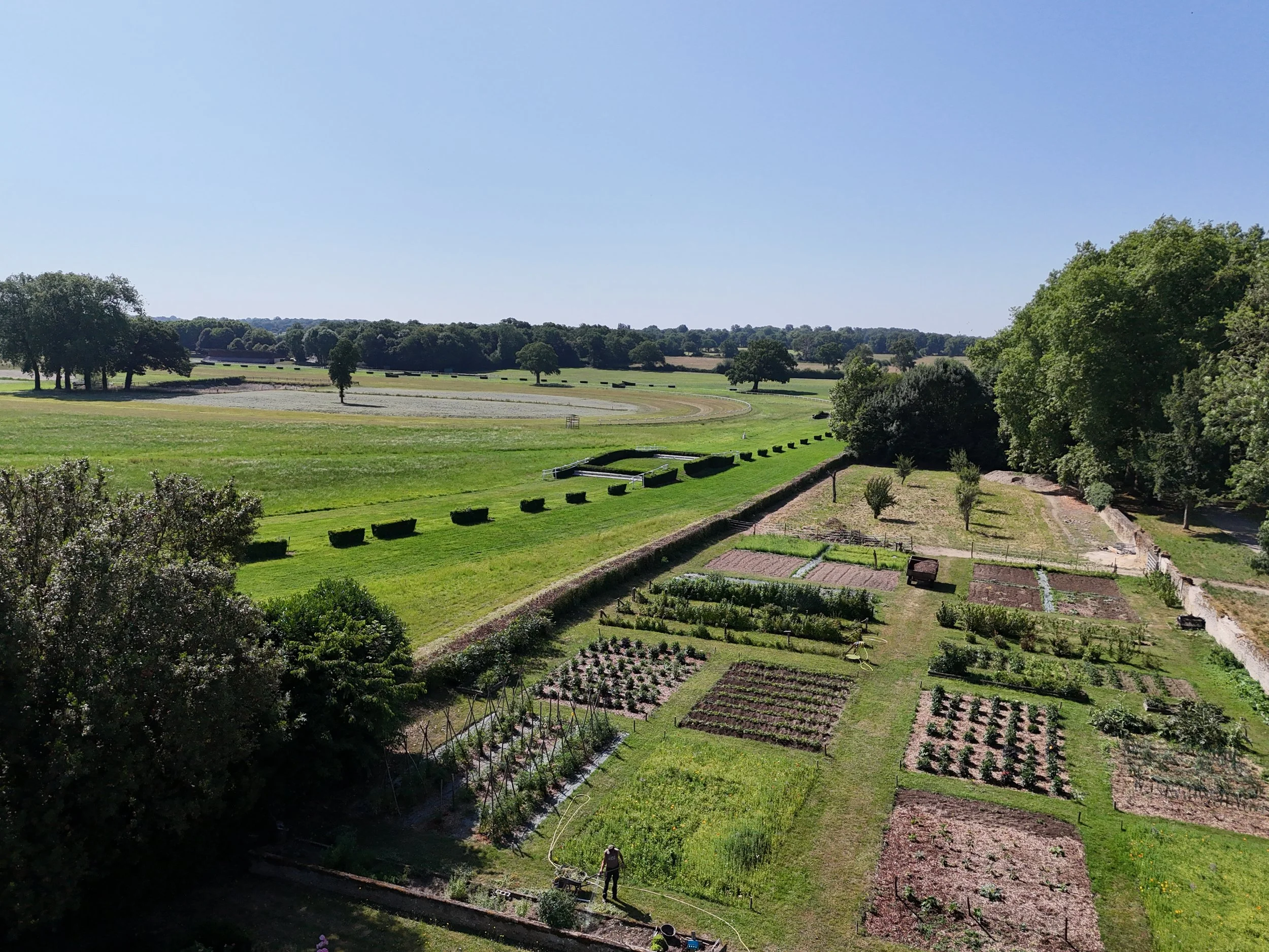 francis-york-anjou-chateau-kings-horses-denniel-immobilier-28.JPG