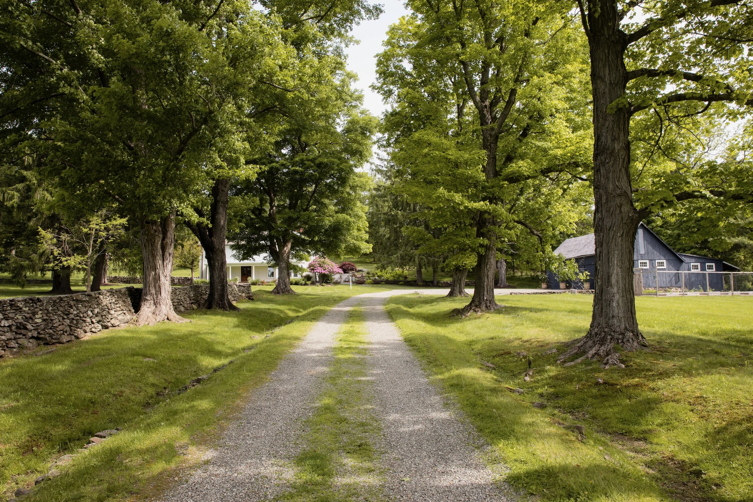 Francis-york-nord-farm-buying-upstate-809-N-Quaker=Hill-48.jpeg