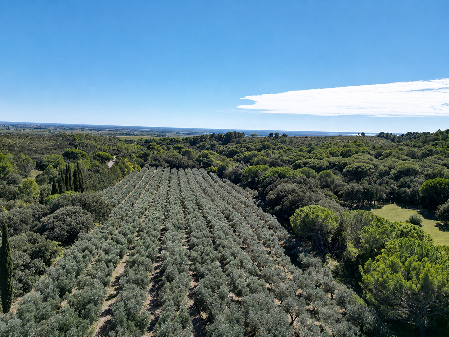 country-estate-near-nimes-france-for-sale-3.png