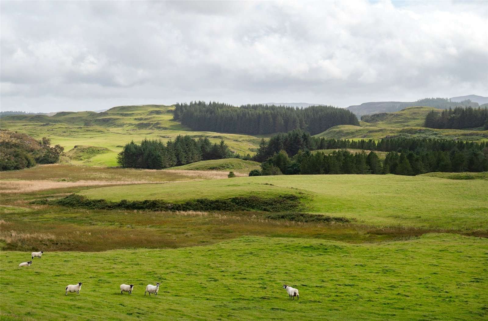 fy-scottish-castle-on-a-remote-island-with-3702-acres-and-3-miles-of-atlantic-coastline-lists-for-9-million-39.jpg