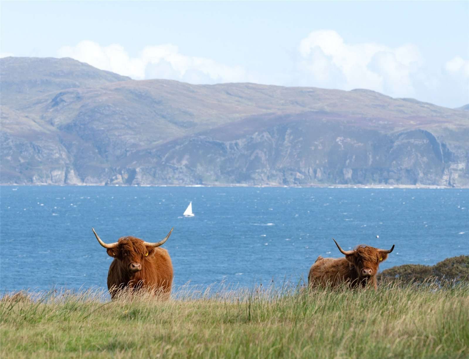 fy-scottish-castle-on-a-remote-island-with-3702-acres-and-3-miles-of-atlantic-coastline-lists-for-9-million-27.jpg