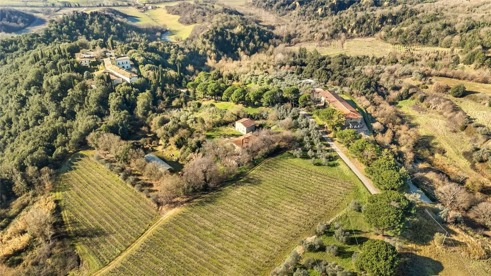 FY-tenuta-poggitazzi-arezzo-tuscany-estate-15th-century-villa-vineyards-agriturismo-7.jpg