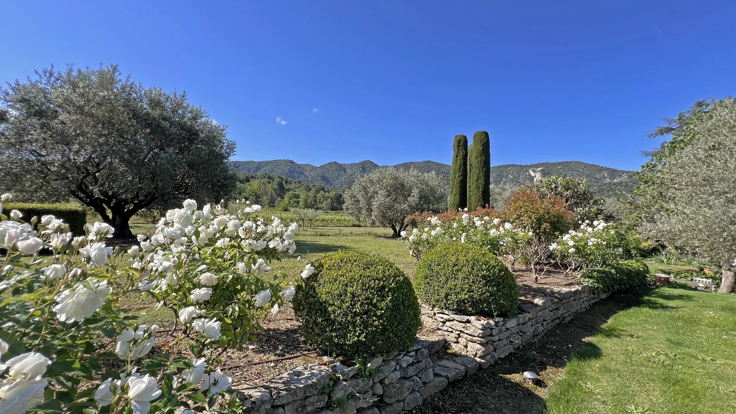 fy-provencal-farmhouse-for-sale-oppede-le-vieux-luberon-france-25.jpg
